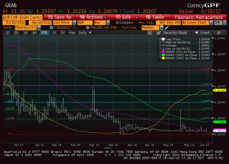 Euro stock options