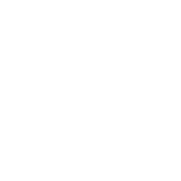 feature-pro.png icons