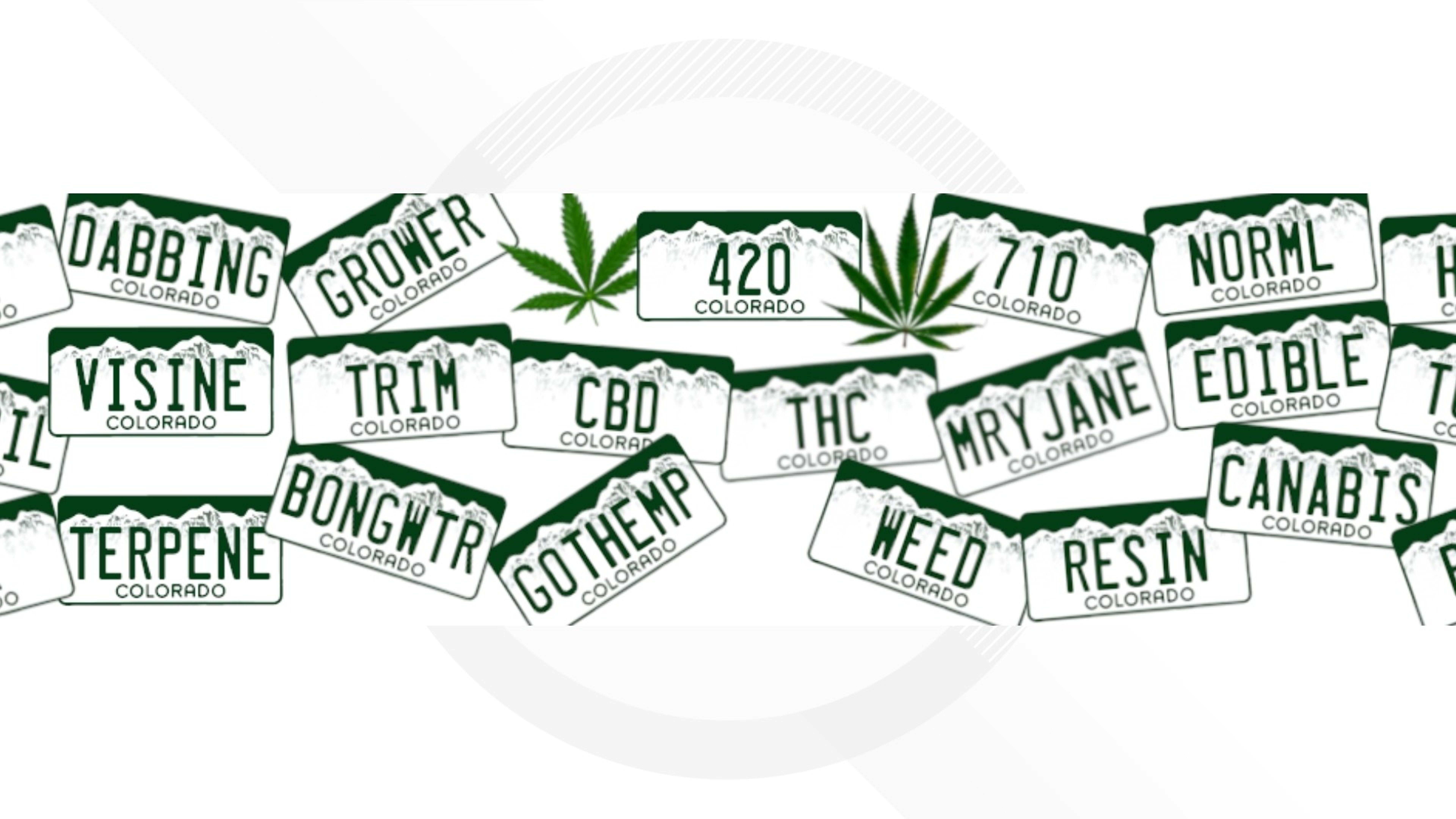 Cannabis-Themed License Plates Up For Auction In Colorado, Bidding Open To All