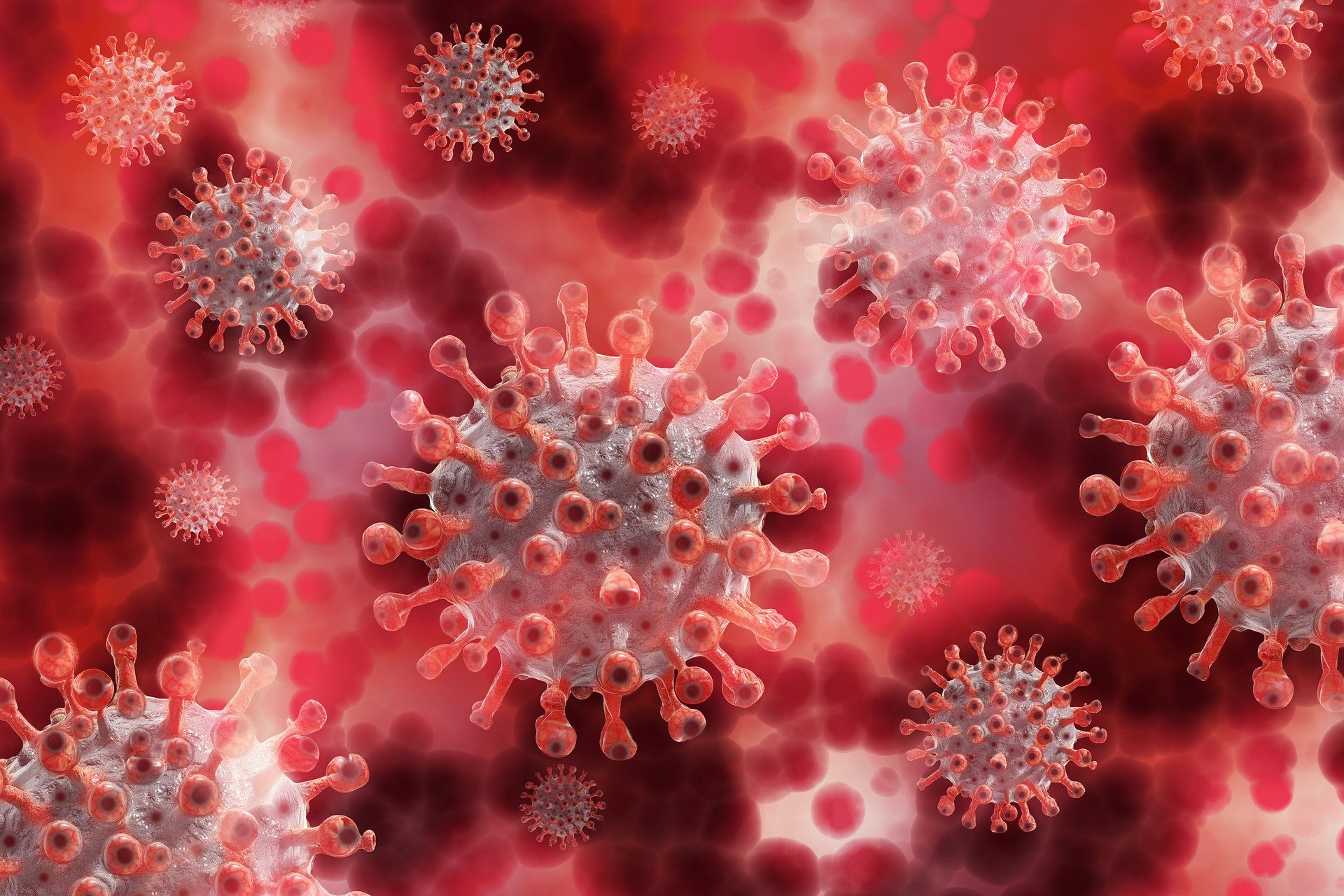 After Mixed Q2 Report, Novavax Analyst Details Possible Coronavirus Vaccine Catalysts