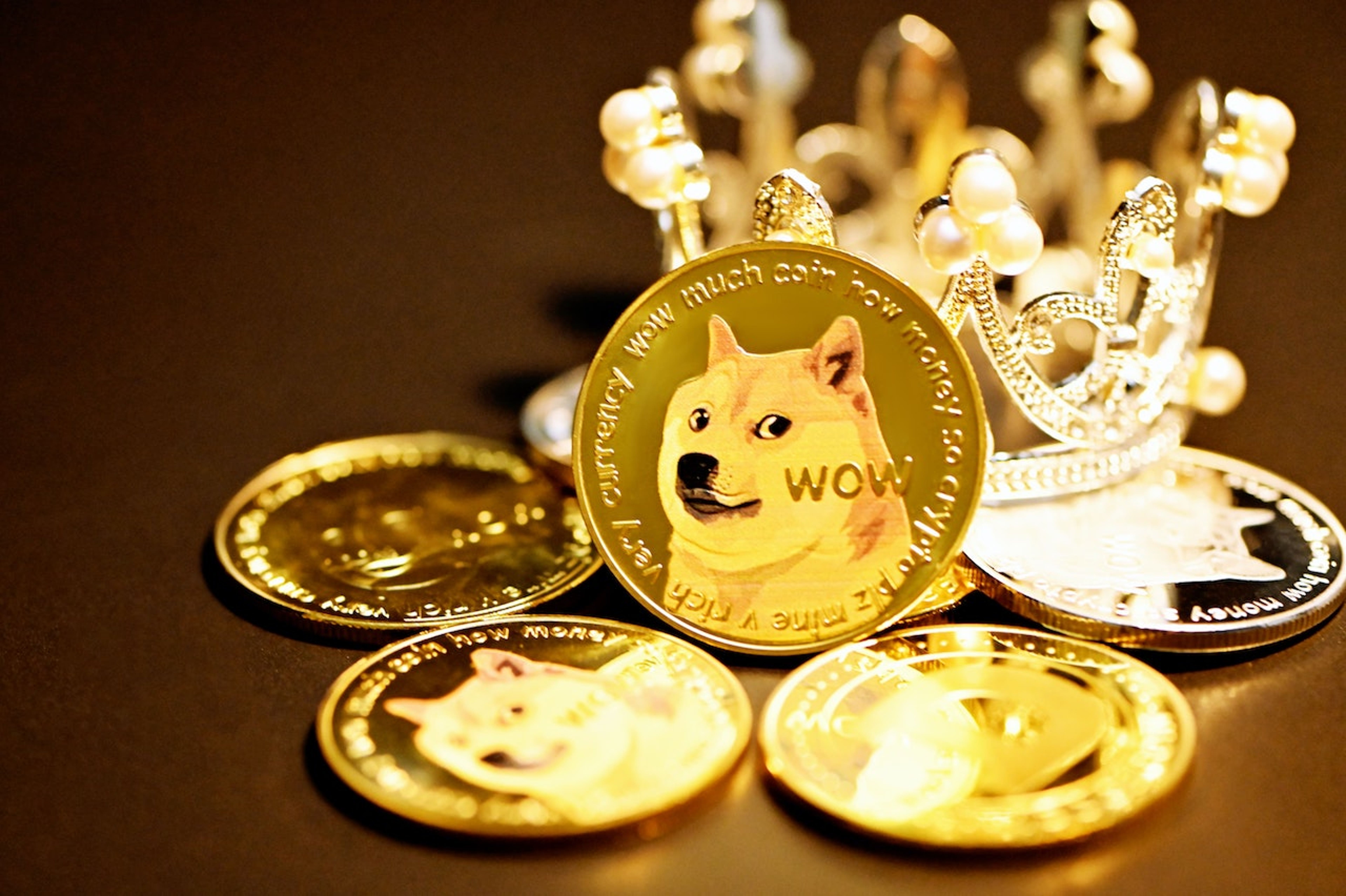 2021 Was The Year Of Dogecoin: A Month By Month Retrospective With Top Stories