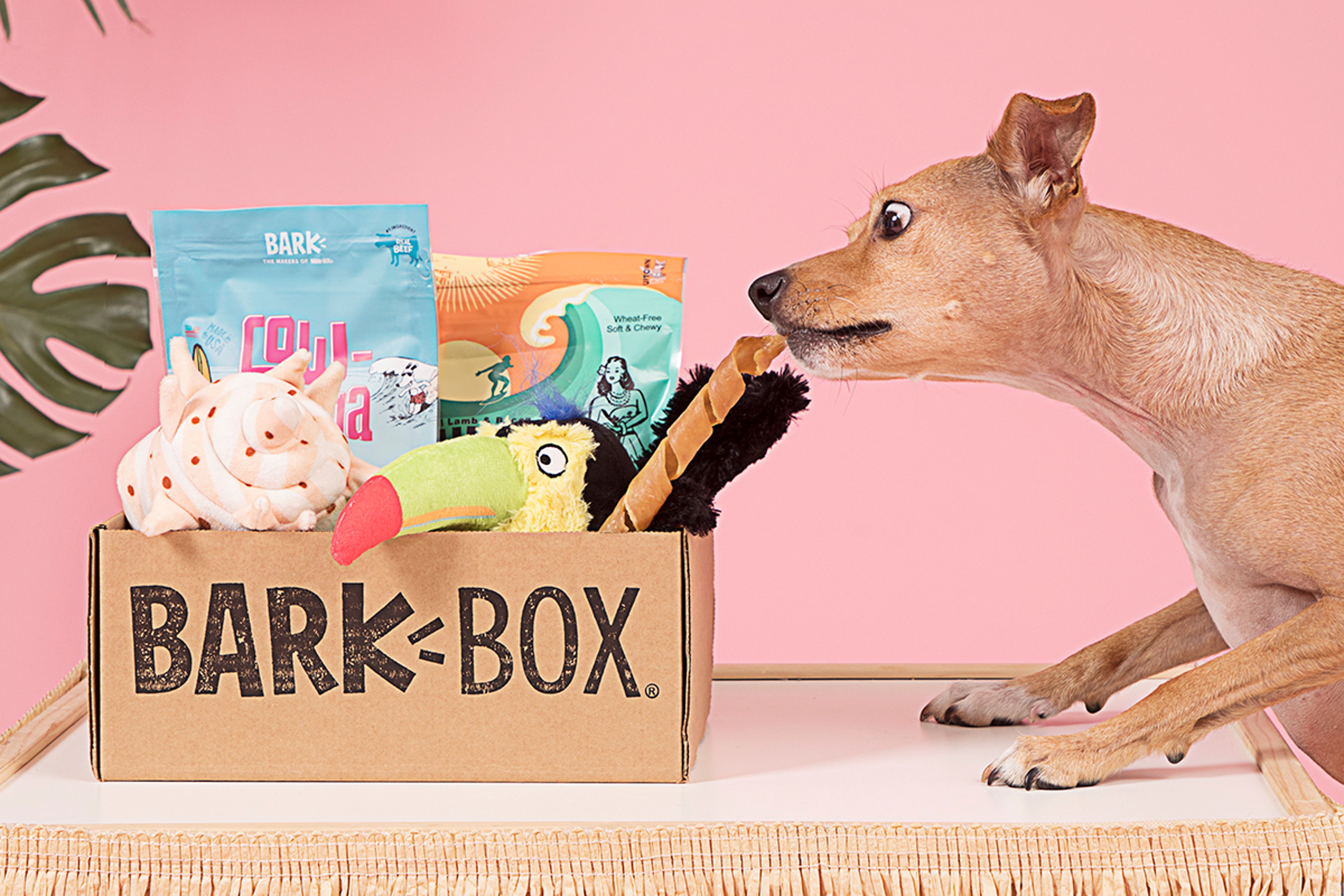 BarkBox Owner BARK Bringing Dog-Focused Sales Platform Public Via SPAC