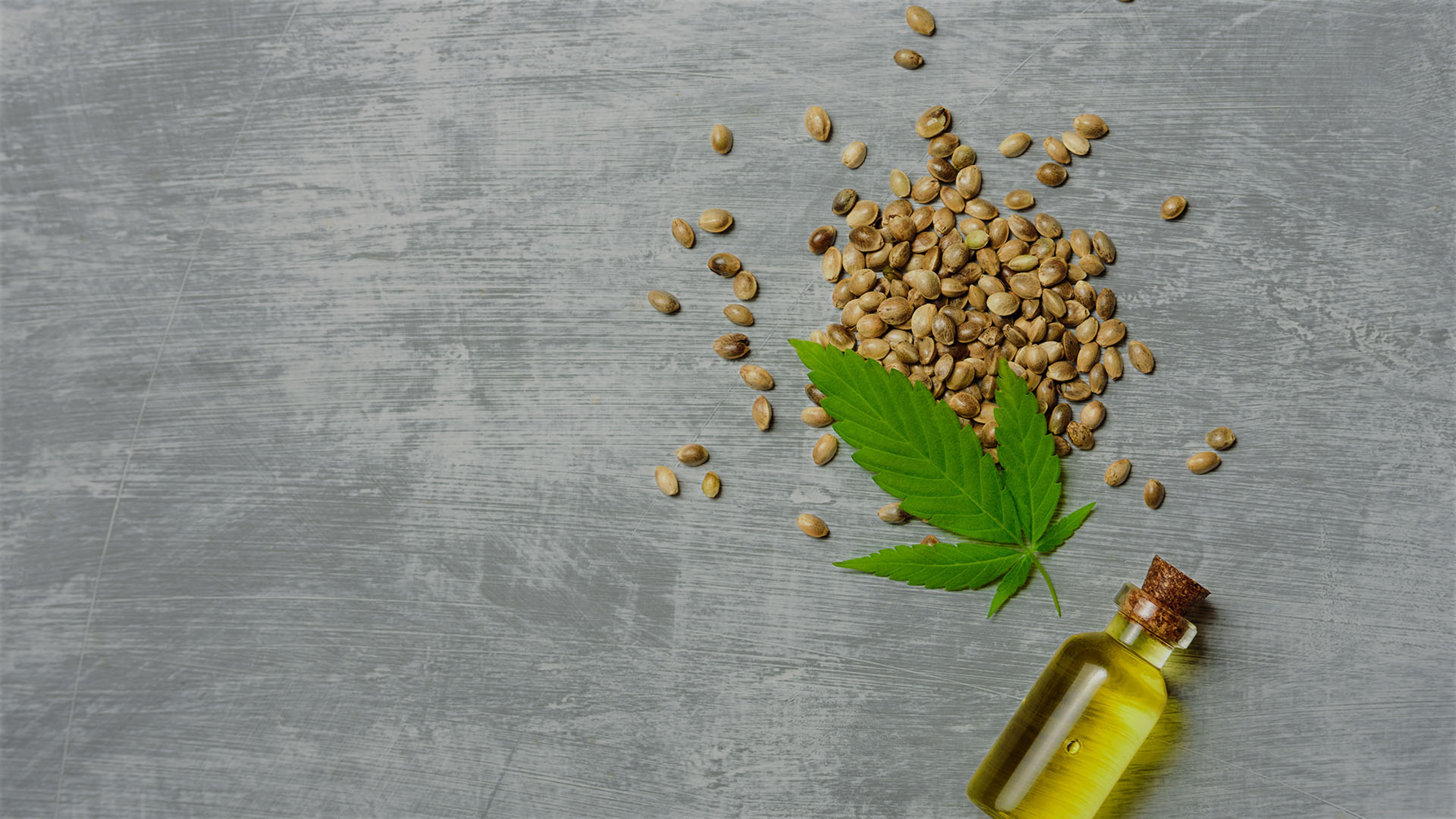 Eating Hemp: Is It Good For Your Health?