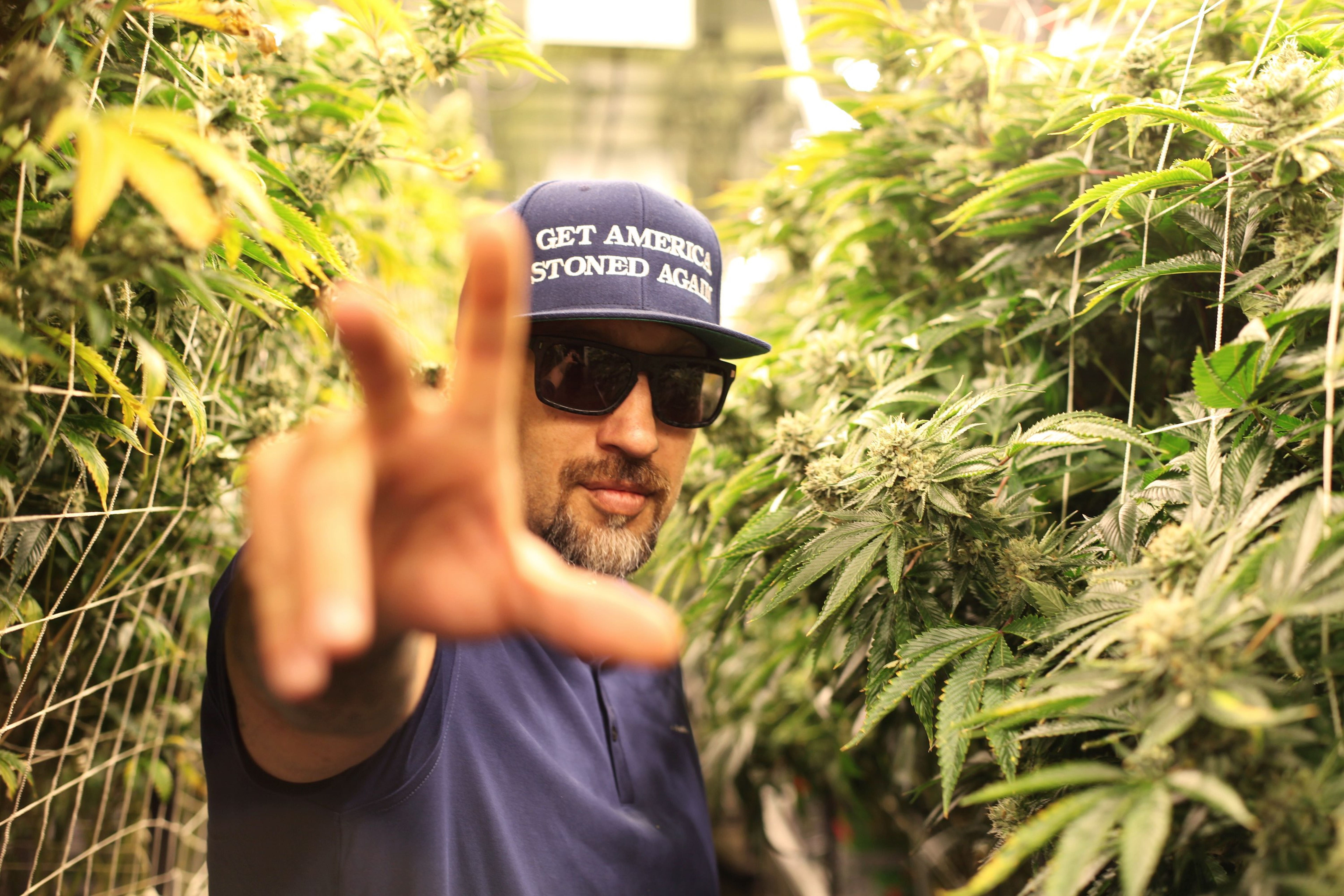 B-Real Discusses His Path To Success In Music, Cannabis, Collabs With Berner, And More