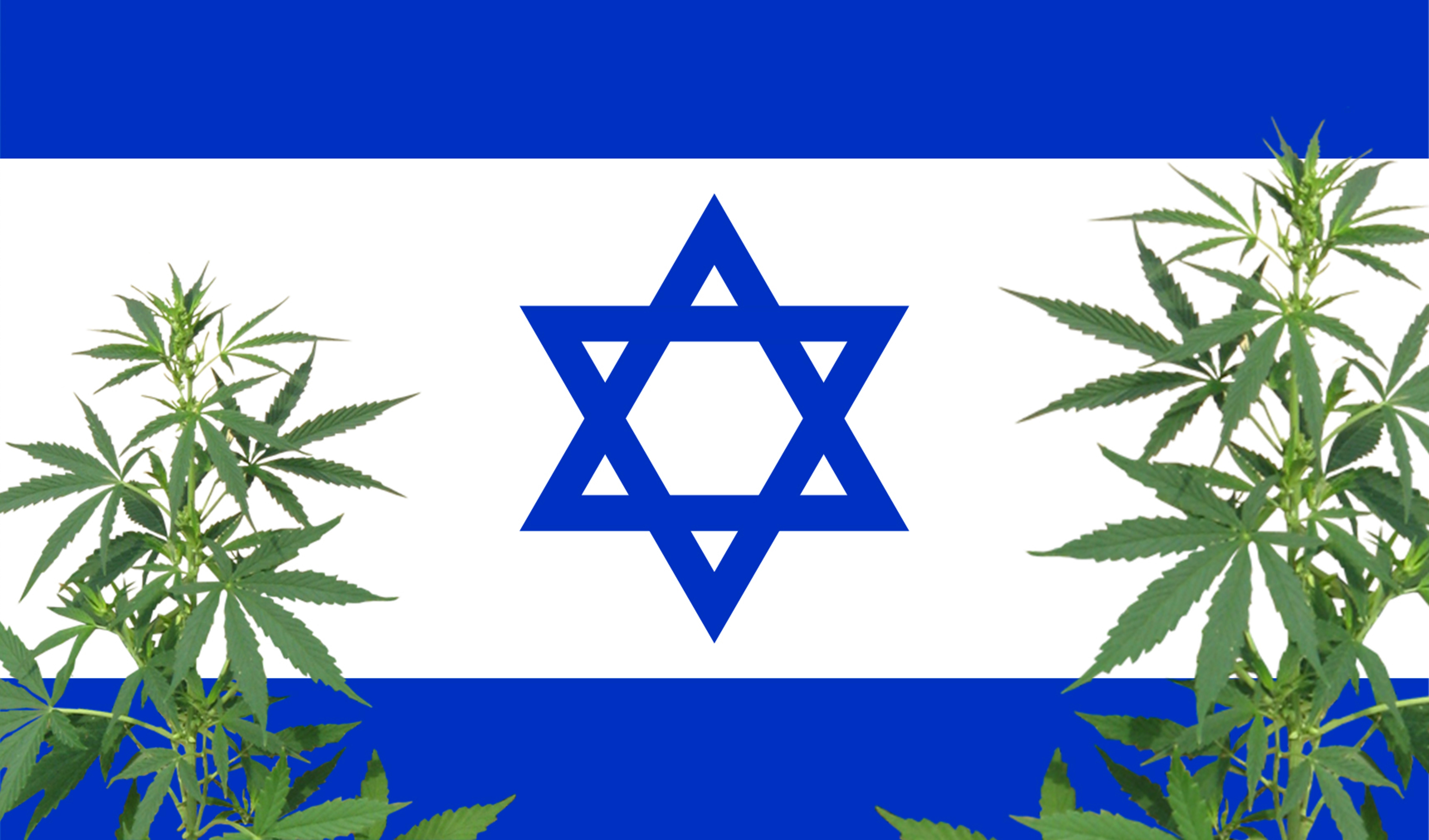 Tress Capital Invests In Israeli Cannabis Incubator