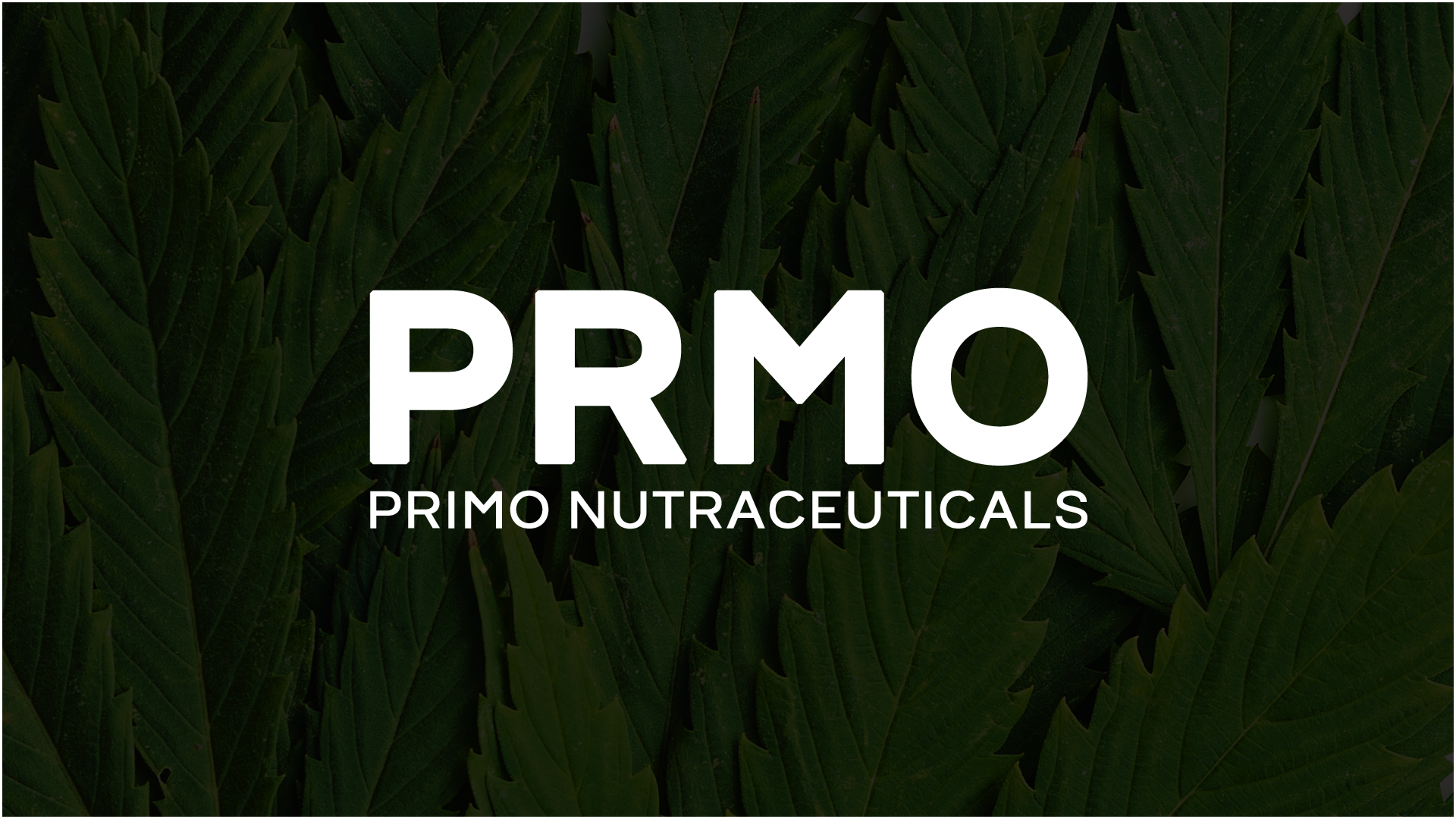 Primo Nutraceuticals Shares Rise 313% On Roller Coaster Day