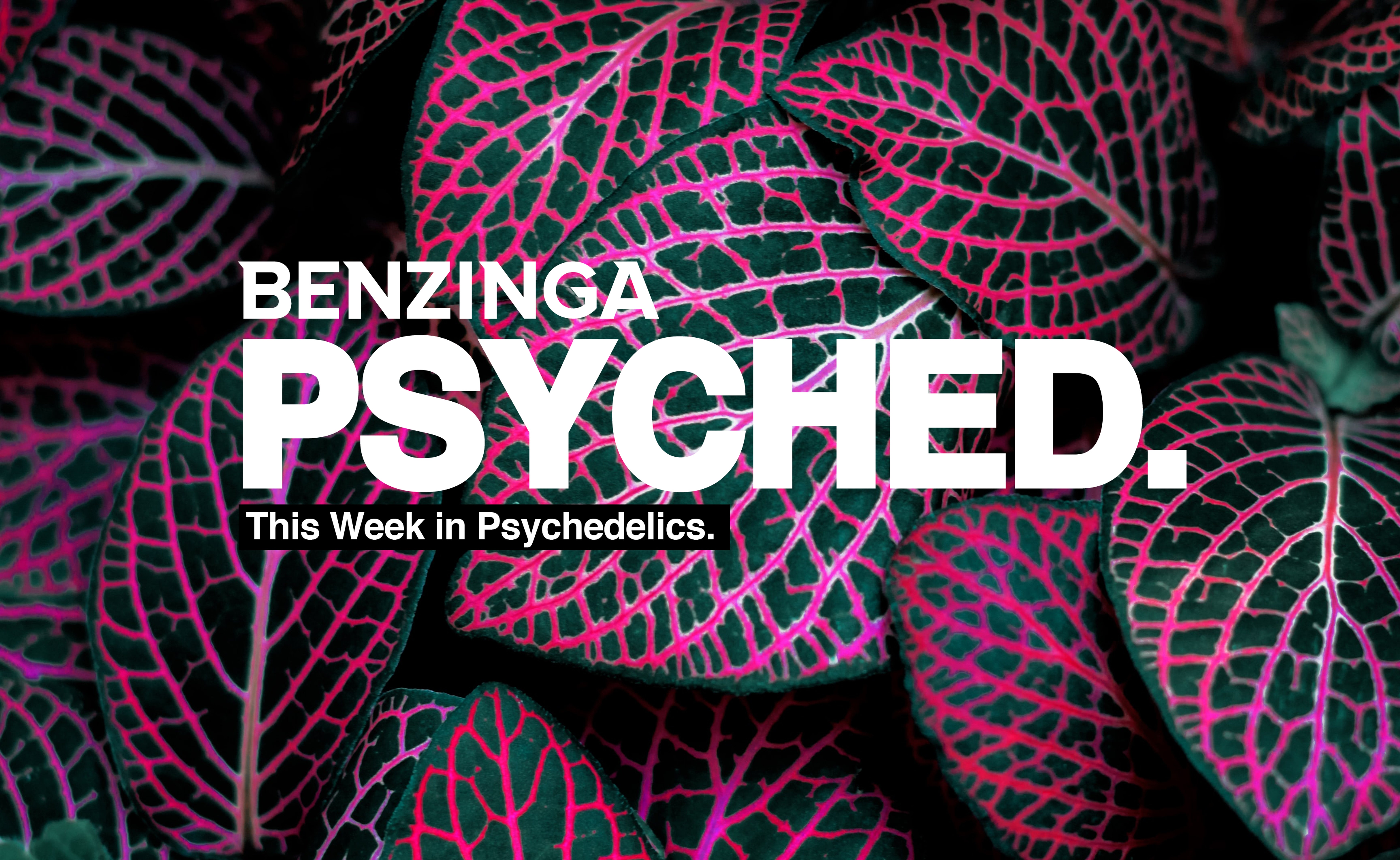 Psyched: MindMed Enters Psychedelics 2.0, Mind Cure Raises $18M, Mydecine Raises $13M
