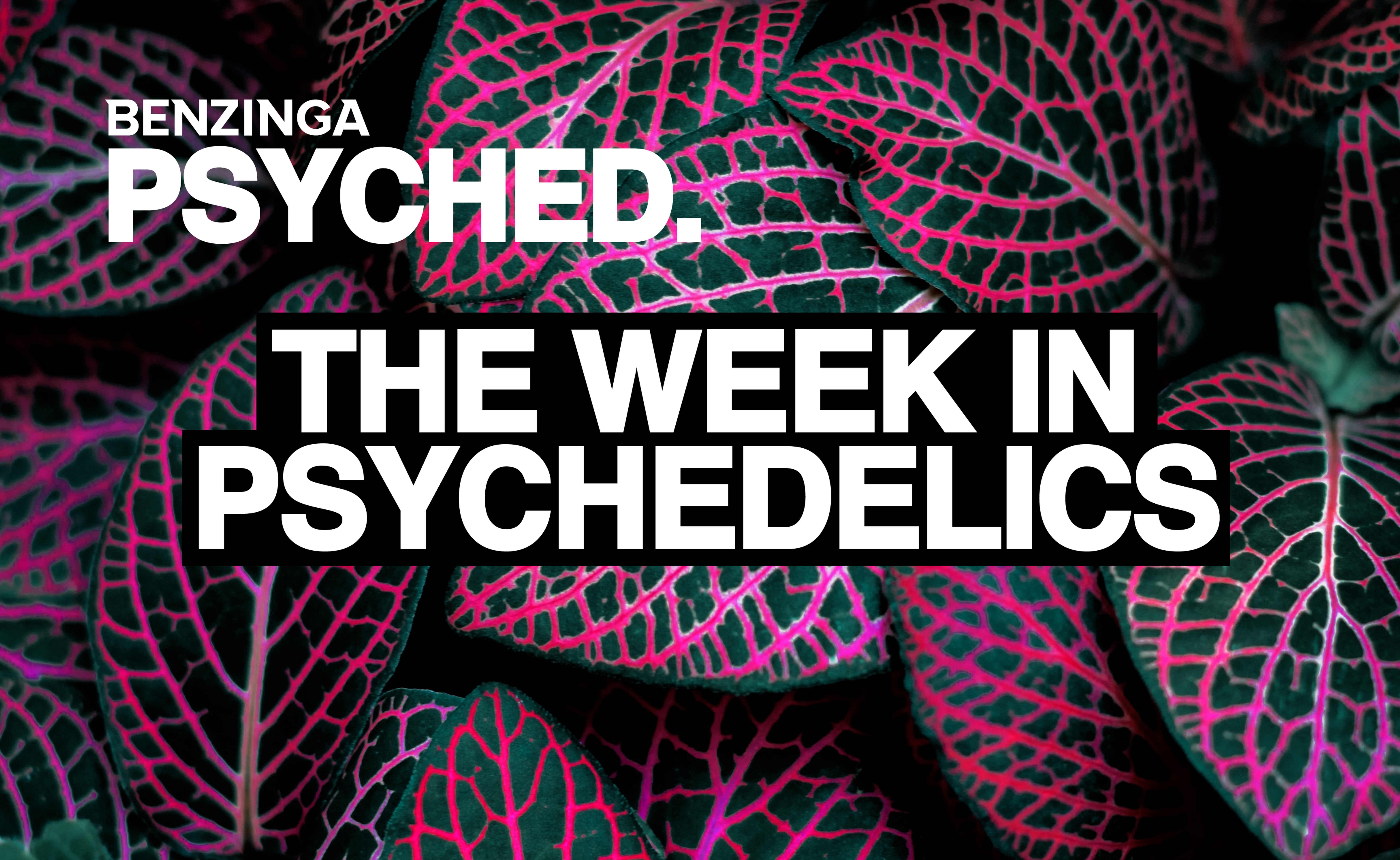 Psyched: Field Trip Gets $20 Price Target, DEA Seeks To Increase Psilocybin Production Limits, Synthesis Closes $7.25M Series A