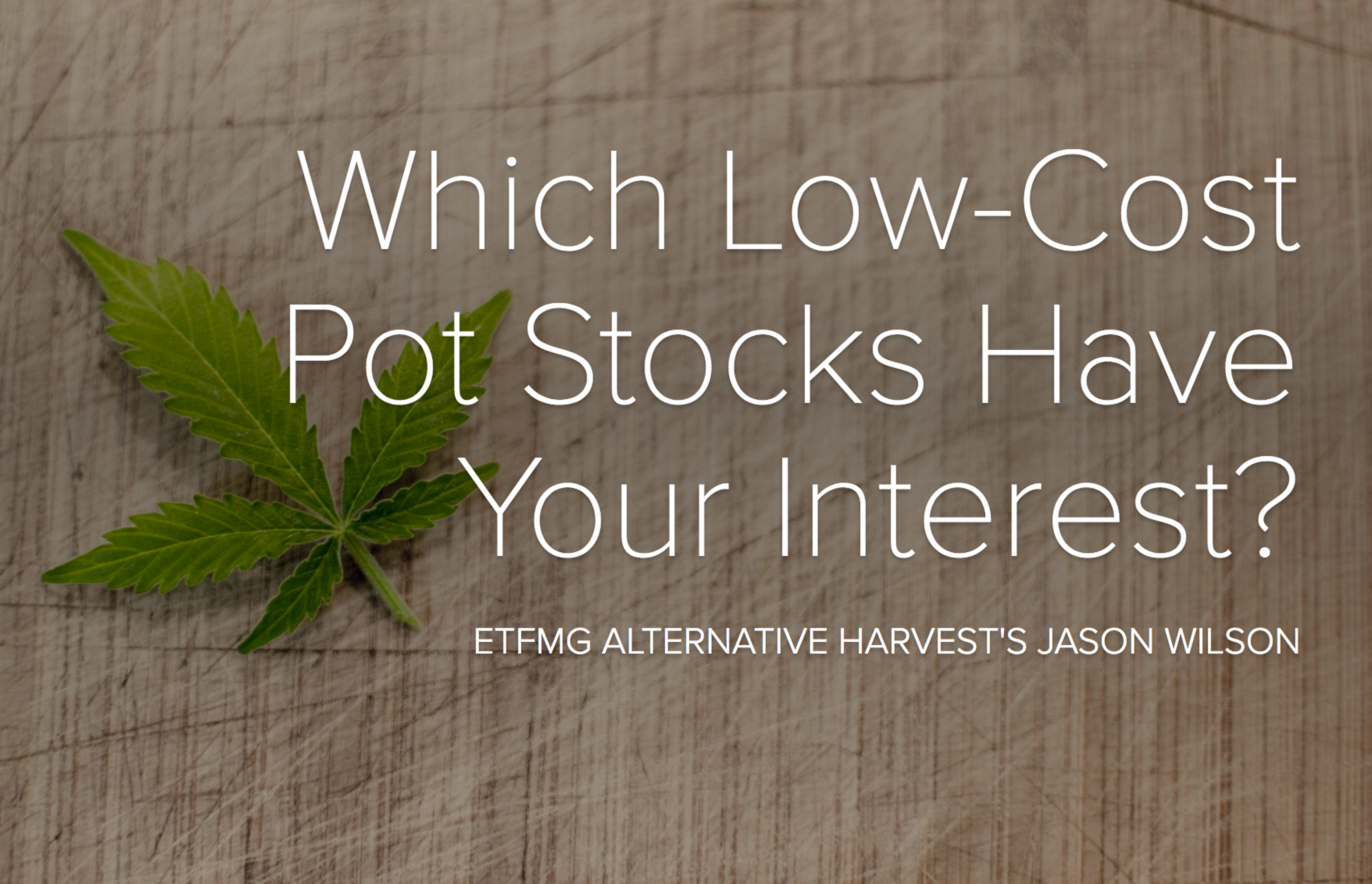Low-Cost Pot Stocks To Consider, According To ETFMG Alternative Harvest&#39;s Jason Wilson