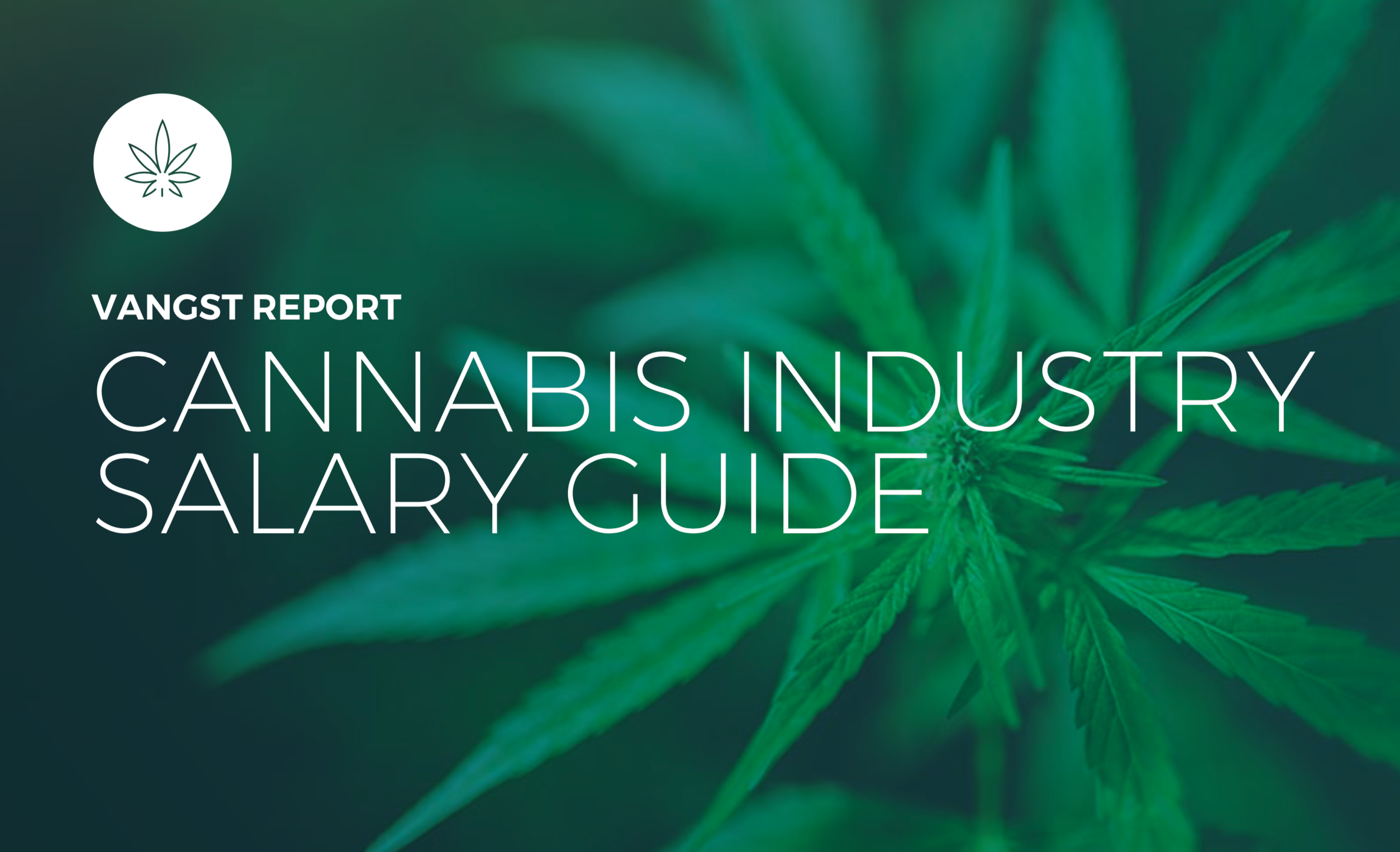 Cannabis Industry Supports 400K+ Jobs In US: How Much Do They Pay?