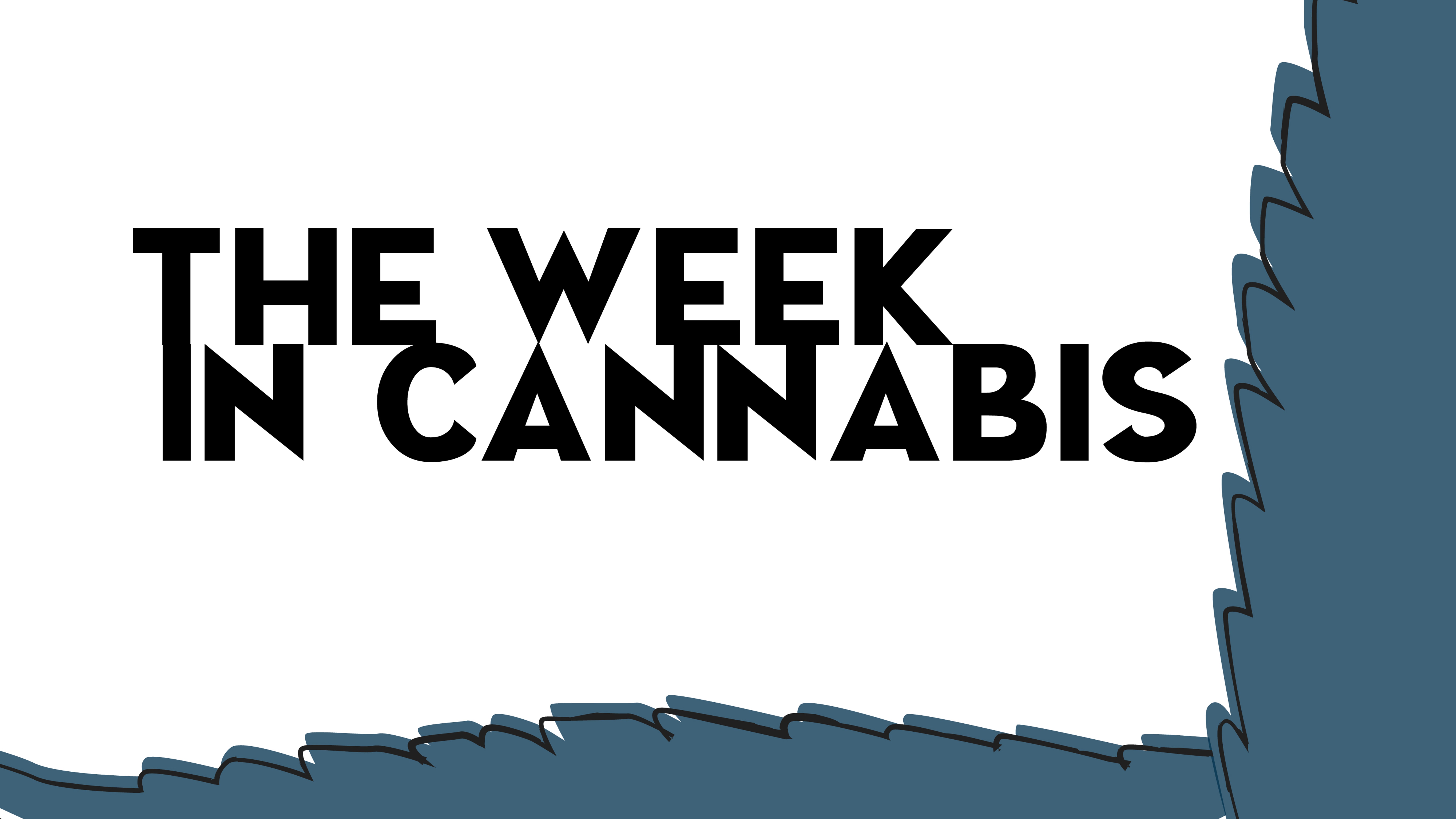 The Week In Cannabis: Amazon Supports Legalization, NY Expands Its Medical Program, Stocks Underperform And More