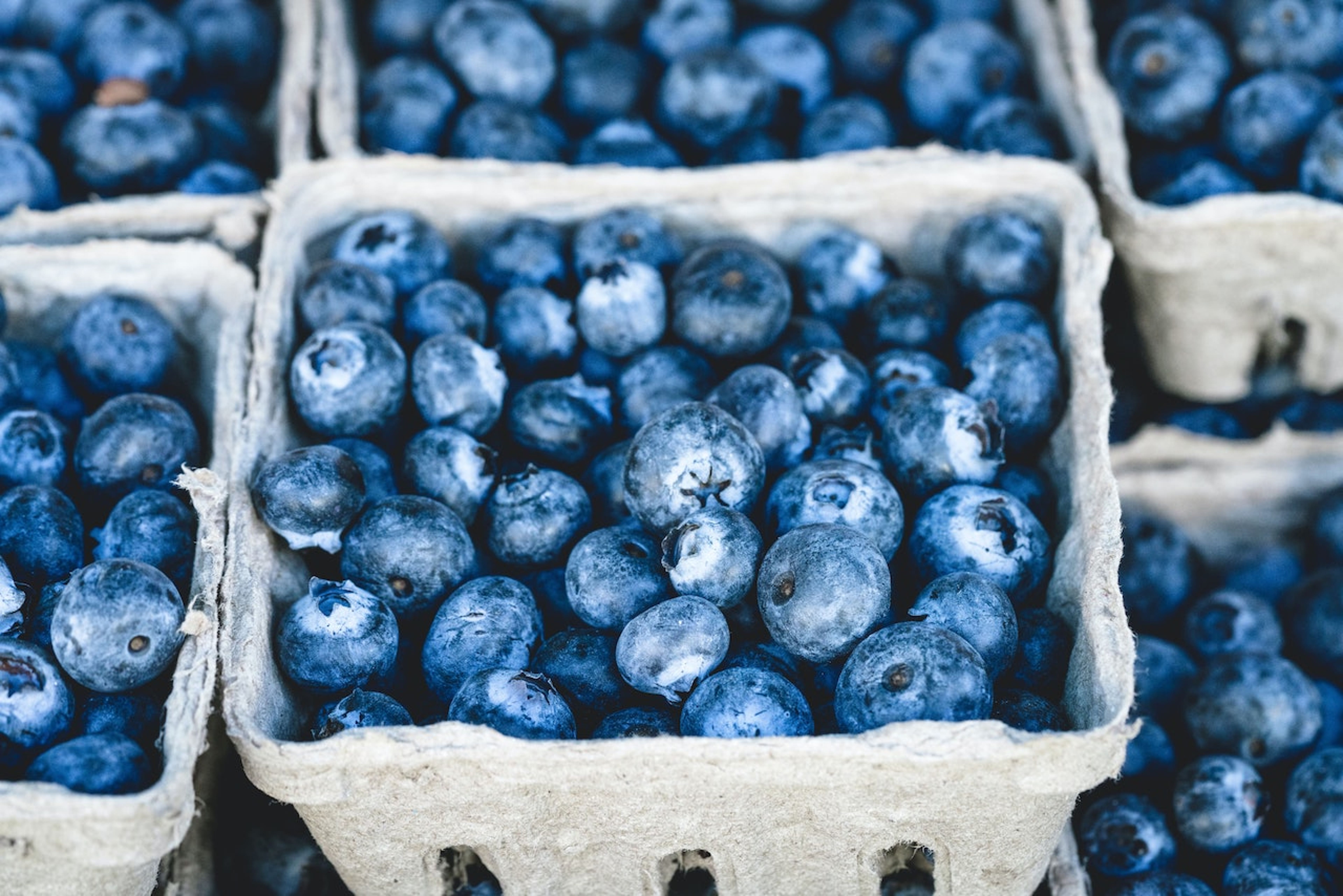 10 Superfoods For Boosted Brain Power