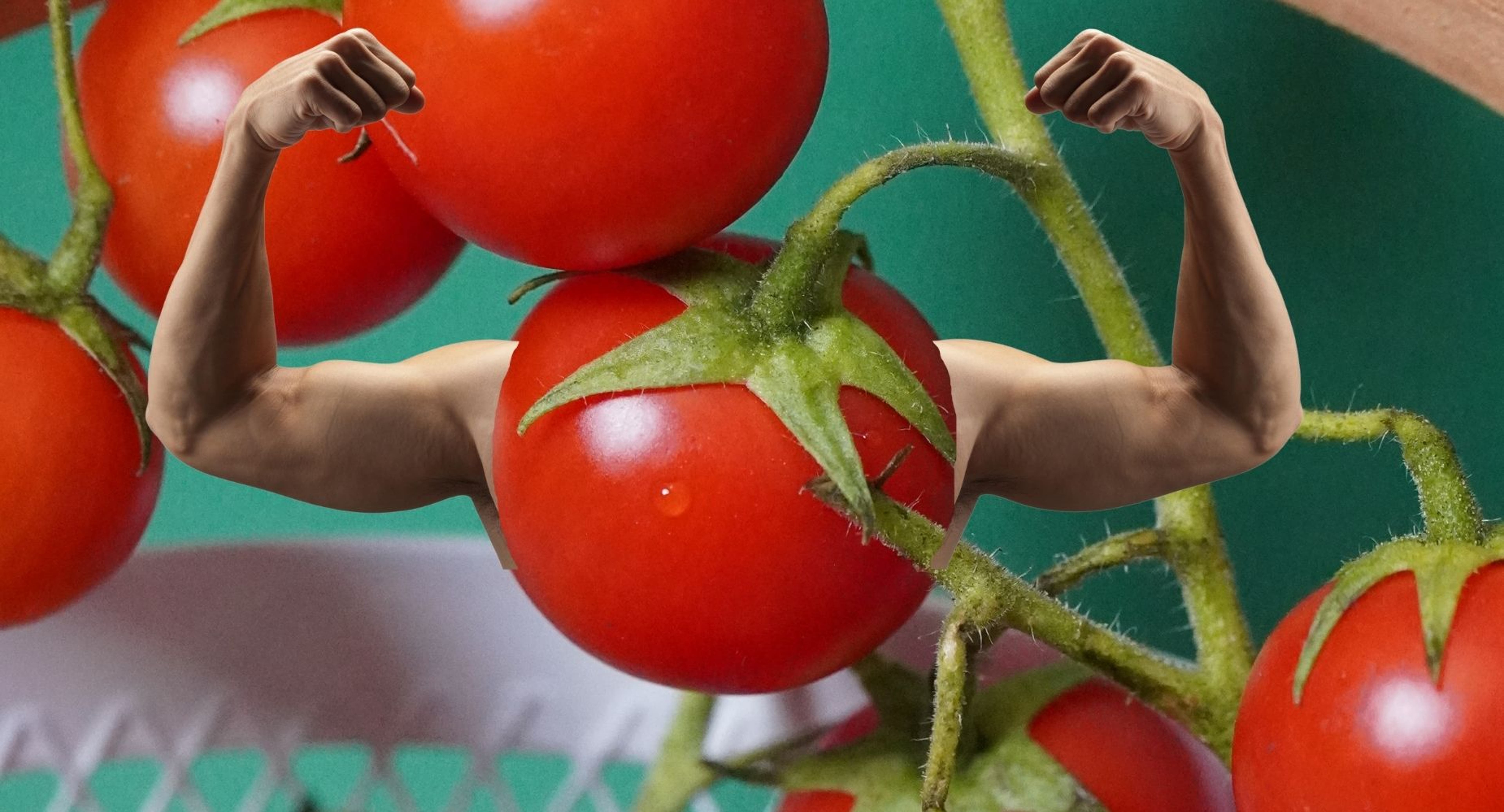 Scientists Developing A Super Tomato: How They&#39;re Boosting This Key Vitamin In The Fruit