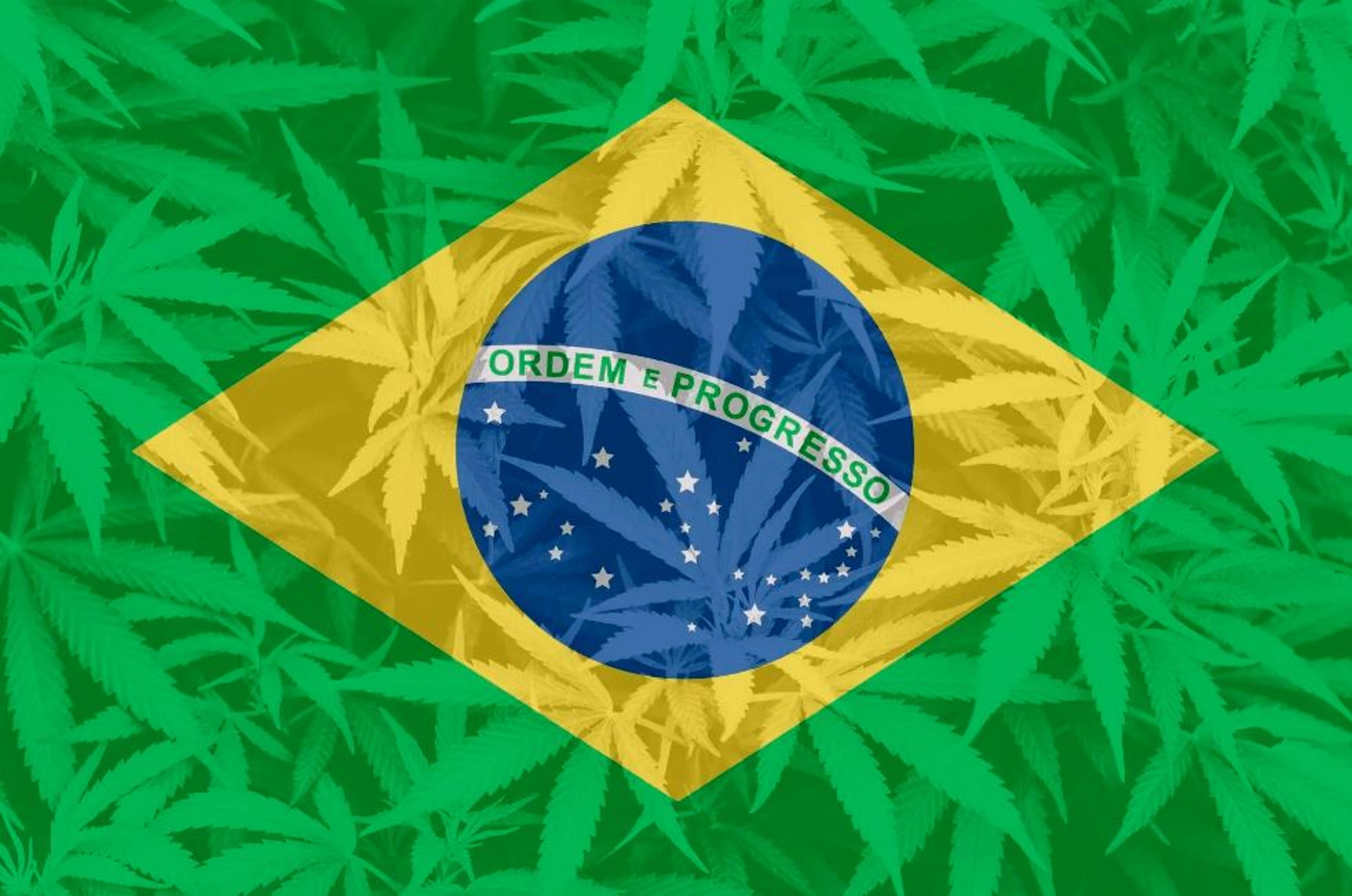 BREAKING: Brazil Supreme Court Authorizes Citizens To Grow Medicinal Cannabis