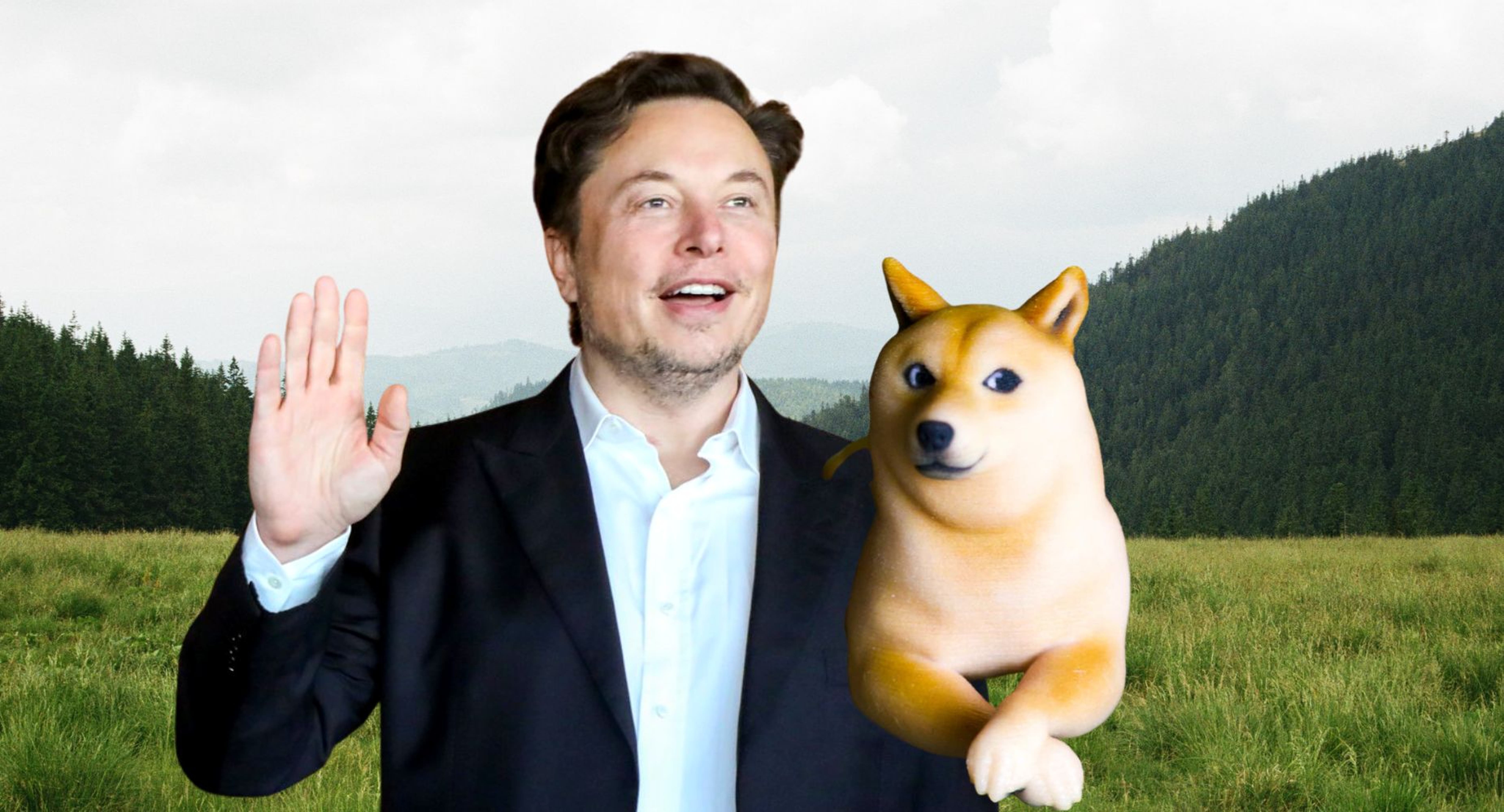 Elon Musk Does It Again! Endorses Dogecoin, Says He&#39;ll Keep Buying The Meme Coin