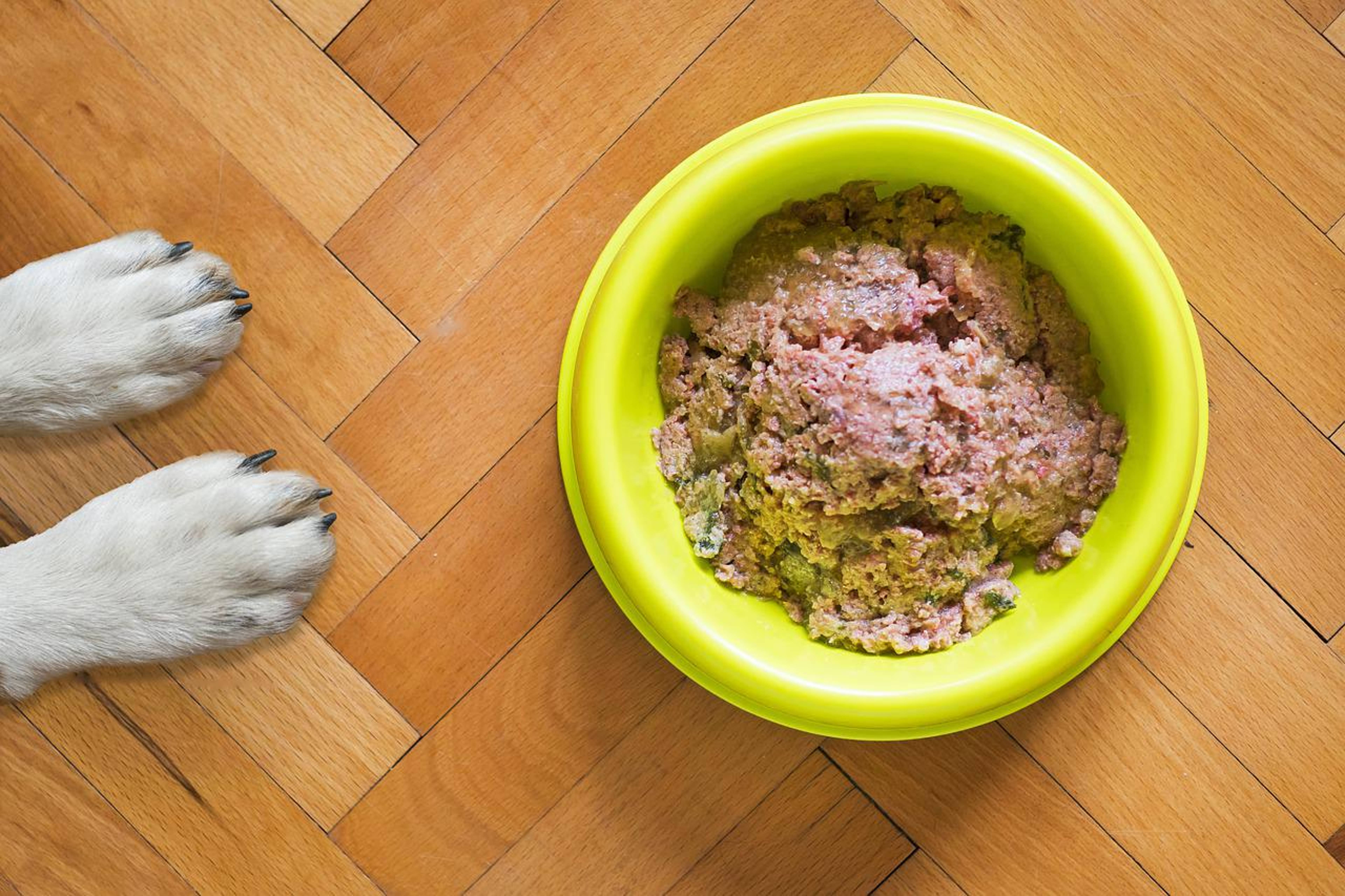 Freshpet Recalls Dog Food Sold At Target And Walmart Over Possible Salmonella Contamination