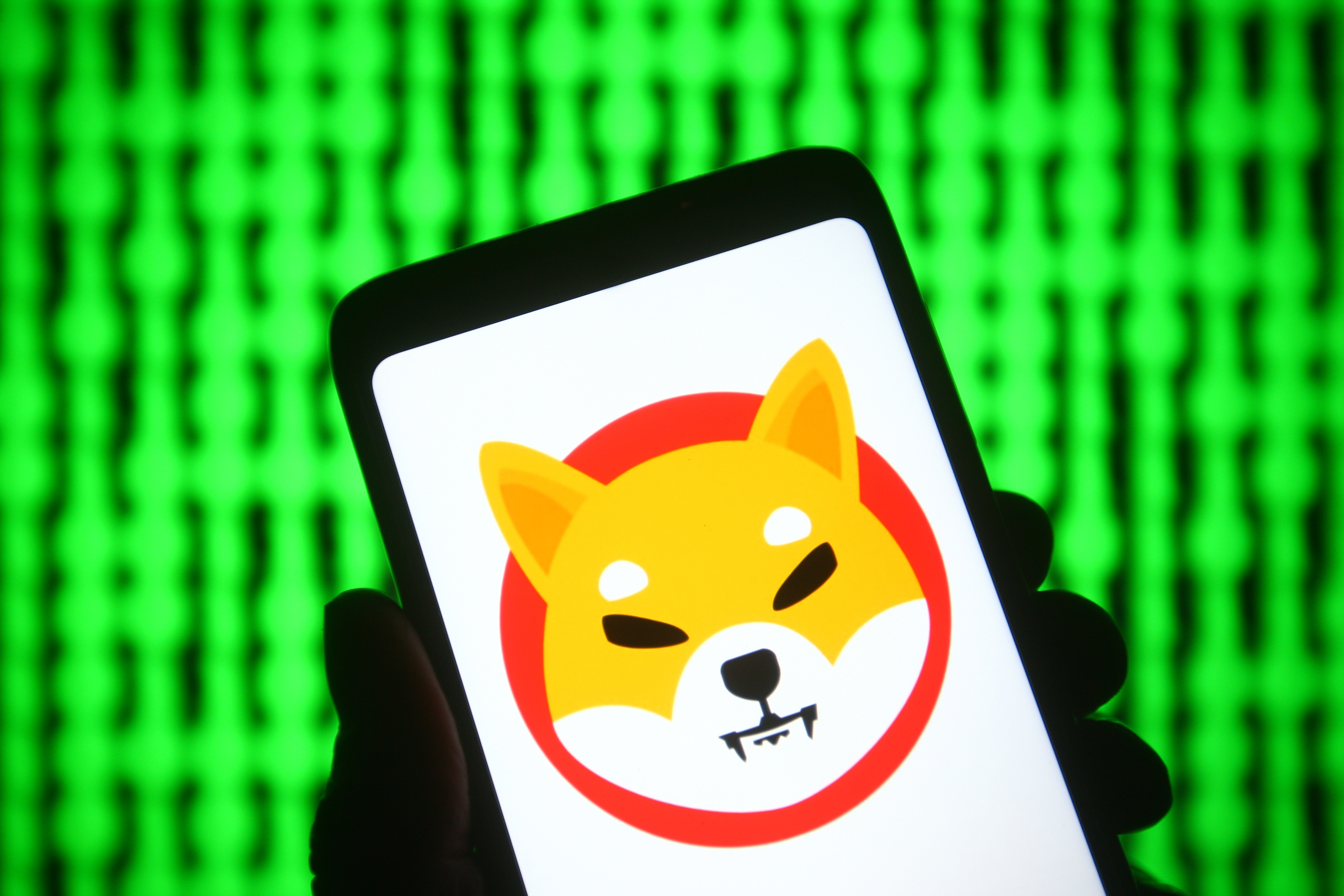 Shiba Inu (SHIB) Surges 17%: Musk&#39;s Dogecoin Spillover, Lead Developer Buzz And More Factors