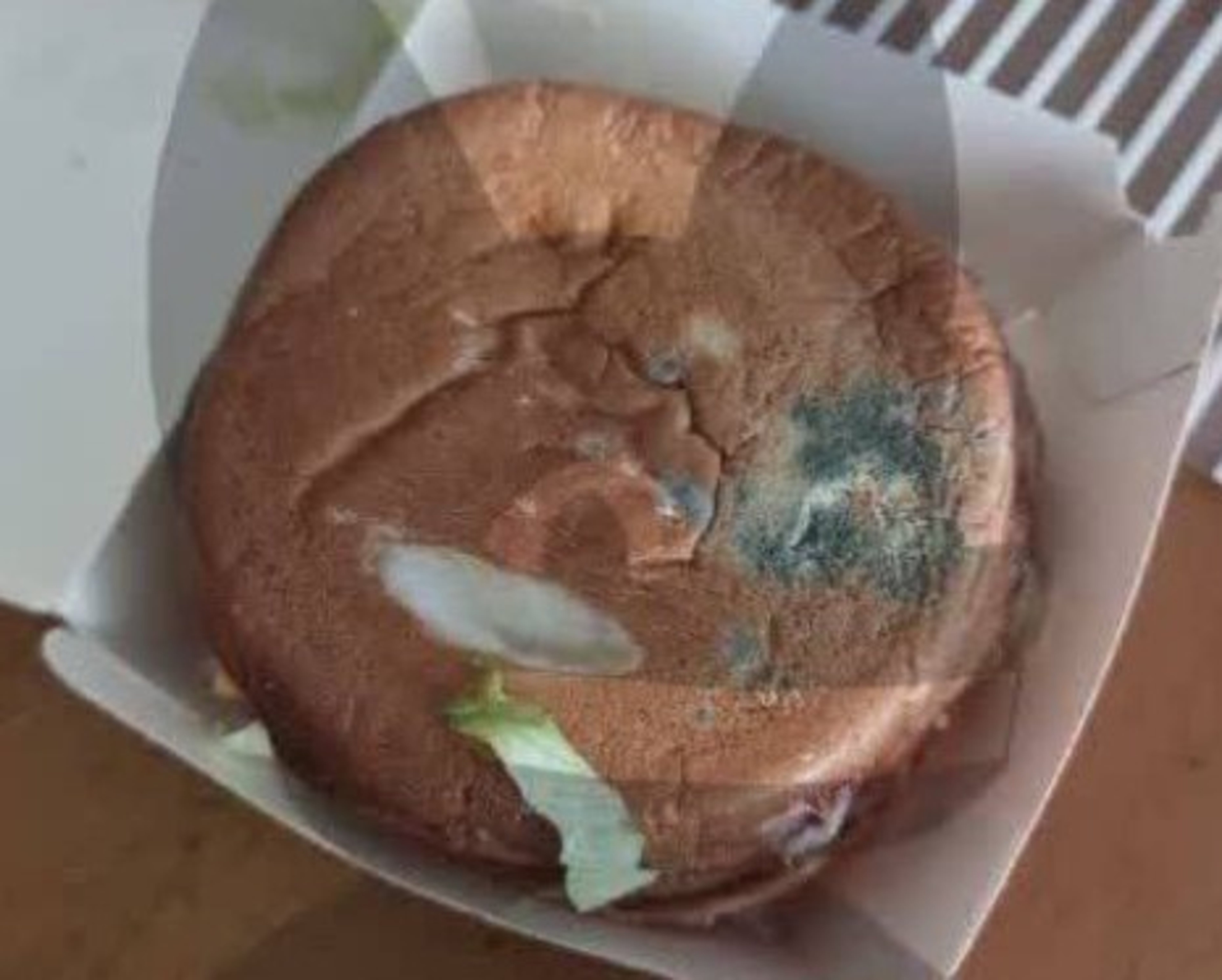 Russia&#39;s McDonald&#39;s Replacement Serves Moldy Buns And Insect Legs In The Meals: Report