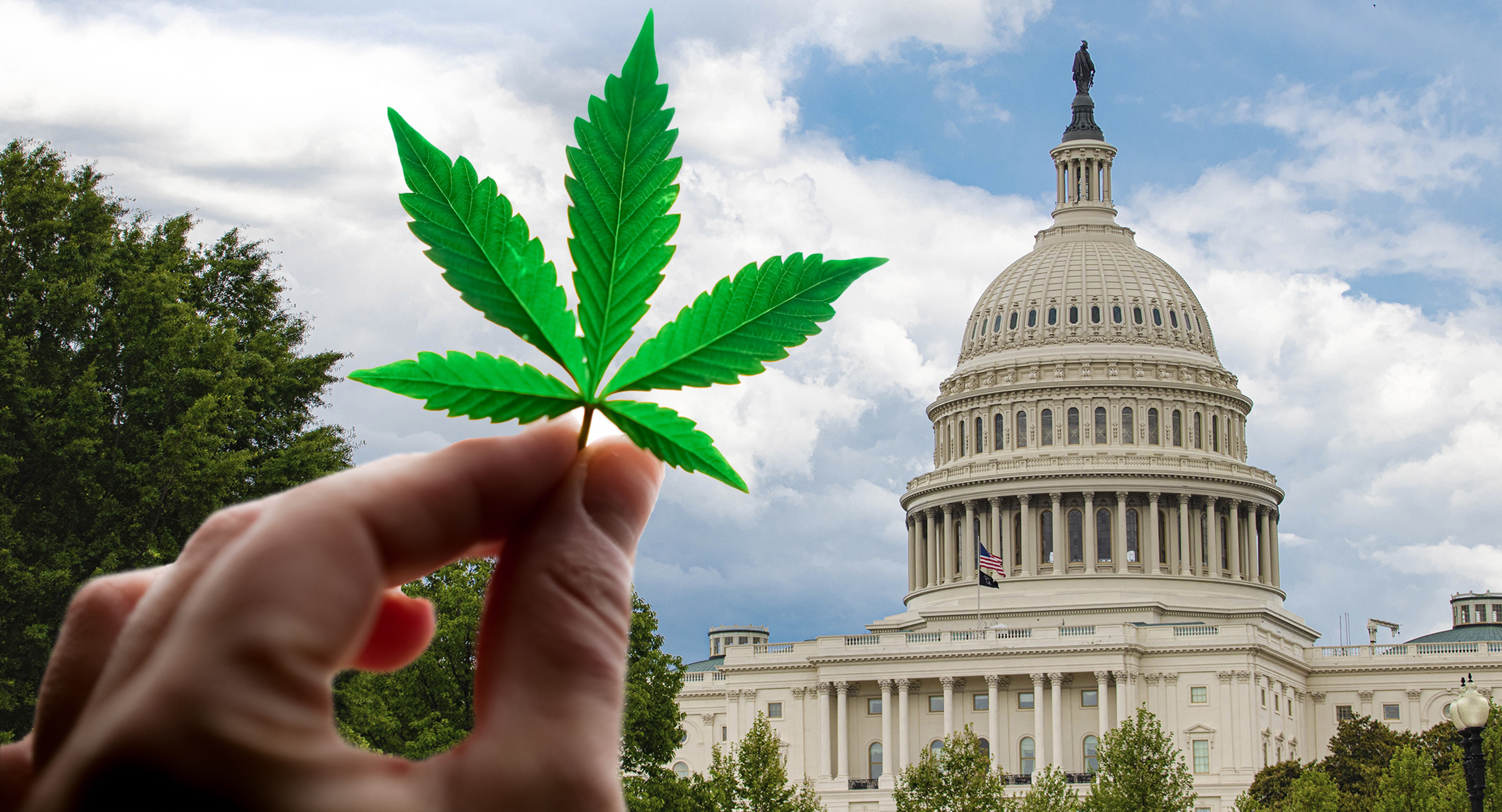 Cannabis Legalization Among Topics For Senate Subcommittee To Address At Next Hearing