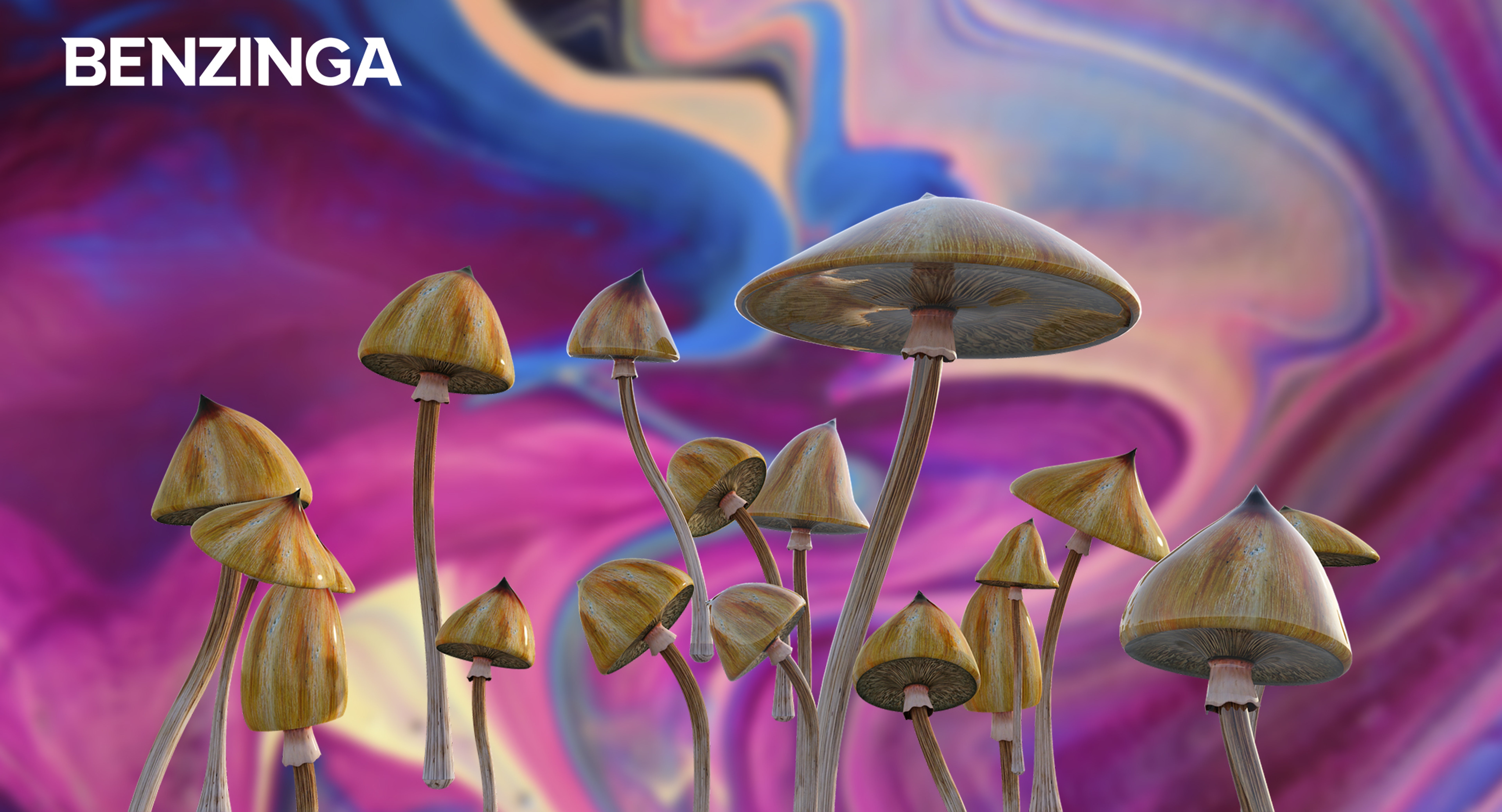 EXCLUSIVE: How Psilocybin Services Providers Are Facing Oregon&#39;s County &#39;Opt-Out&#39; Vote In November Ballot, Synthesis&#39; Exposition In Jackson County