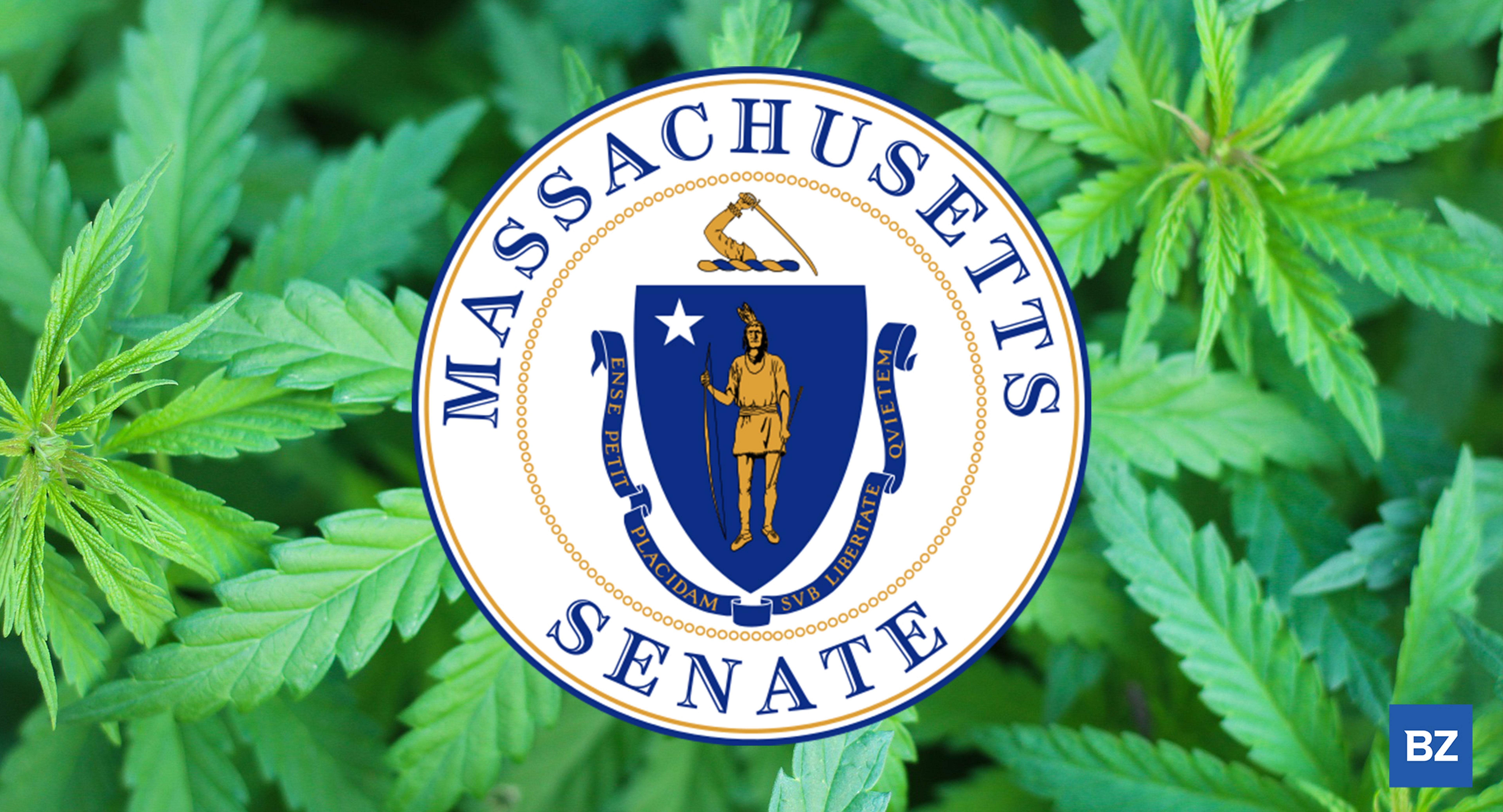 Marijuana Compromise Bill Addressing Social Equity, Taxes Approved In MA House &amp; Senate