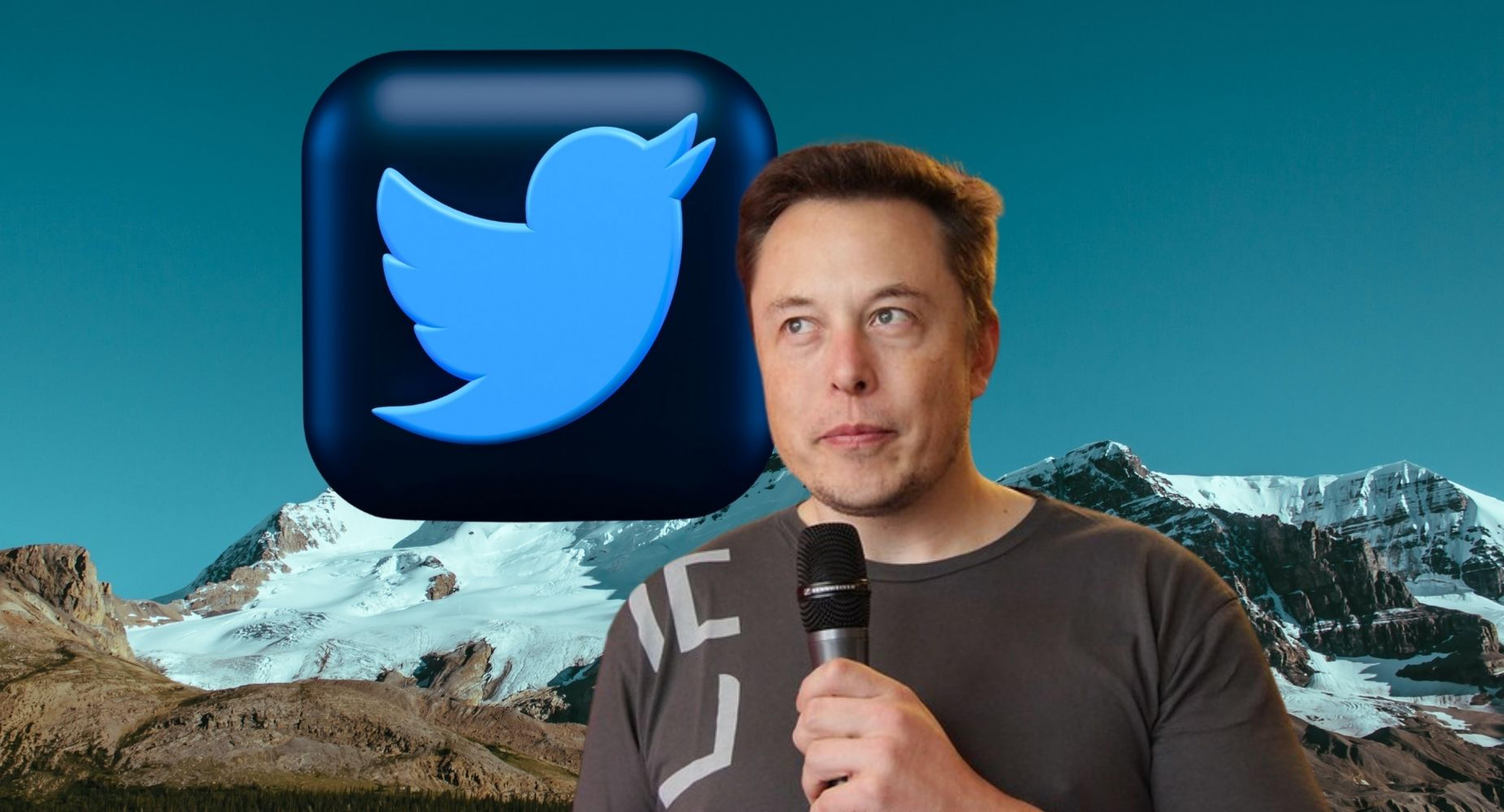 Twitter Users Could Soon See Elon Musk&#39;s Monthly Tweet Count: Here&#39;s How