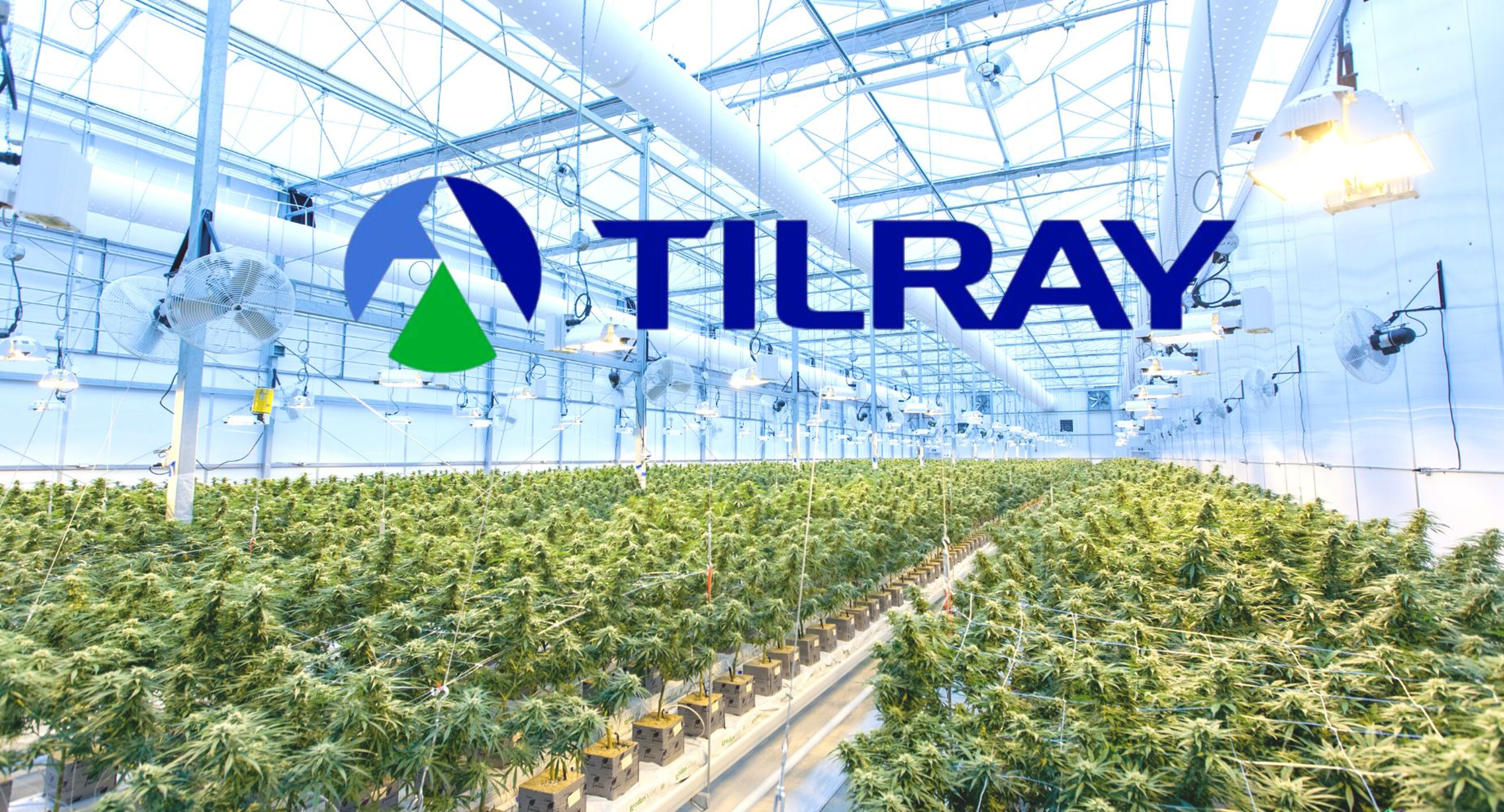 Is Tilray Still A Bear Play Or Is The Cannabis Giant Ready For A Big Break North?