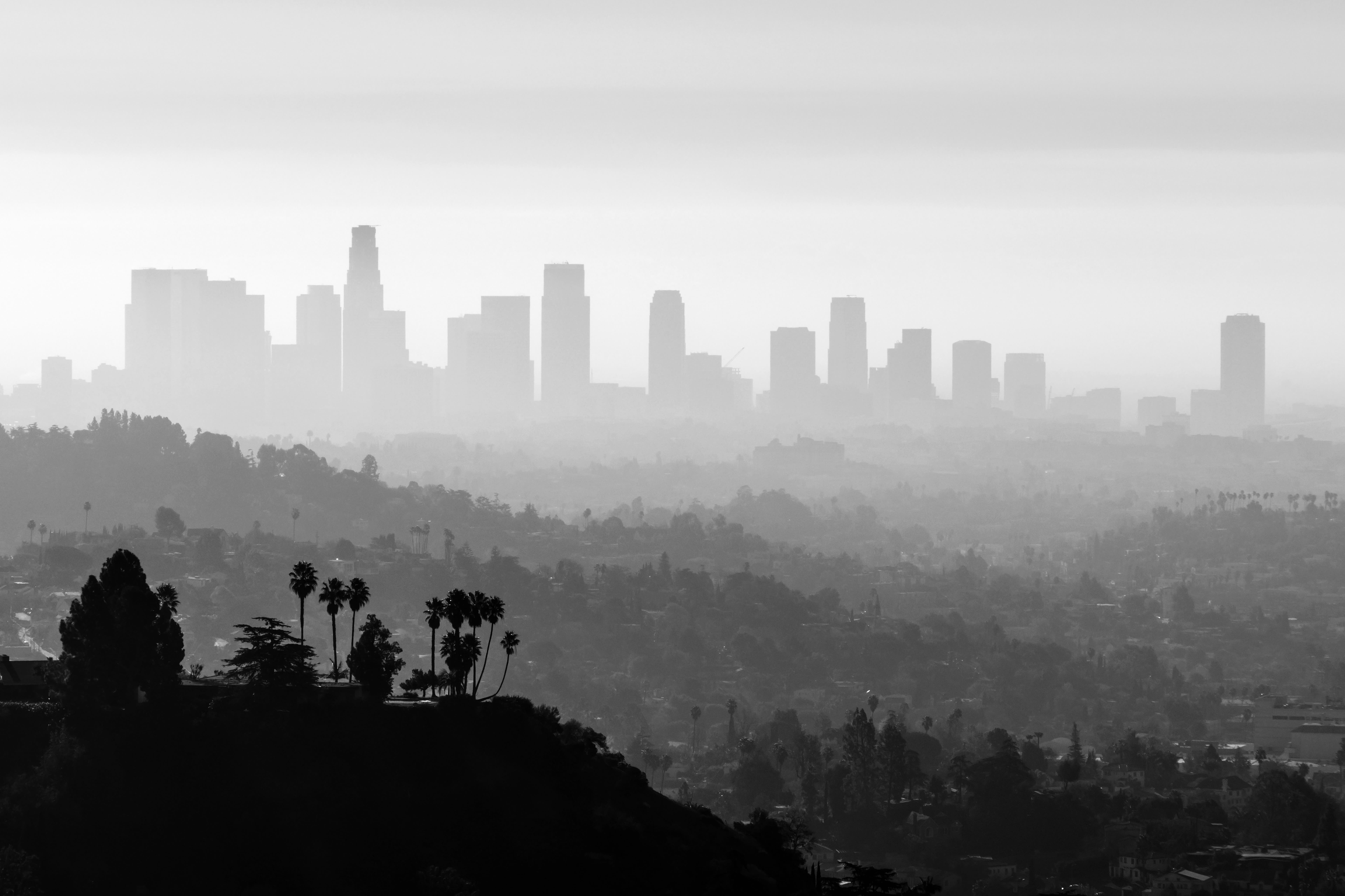 Smog-Free Los Angeles Coming Soon? California Set To Ban The Sale Of Gas-Powered Vehicles By 2035