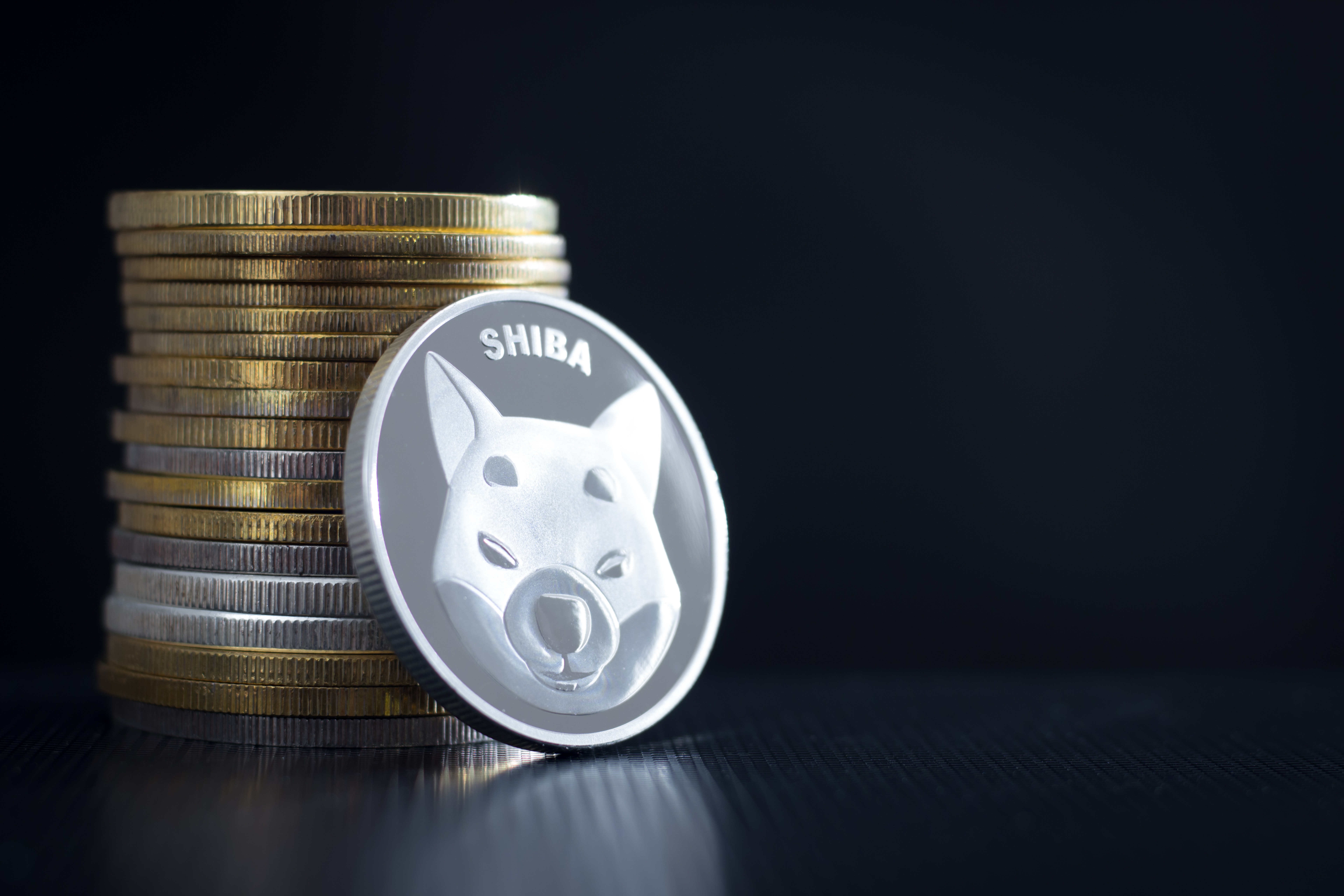 3 Trillion Shiba Inu (SHIB) Acquired By Mysterious Wallet In Single Transaction