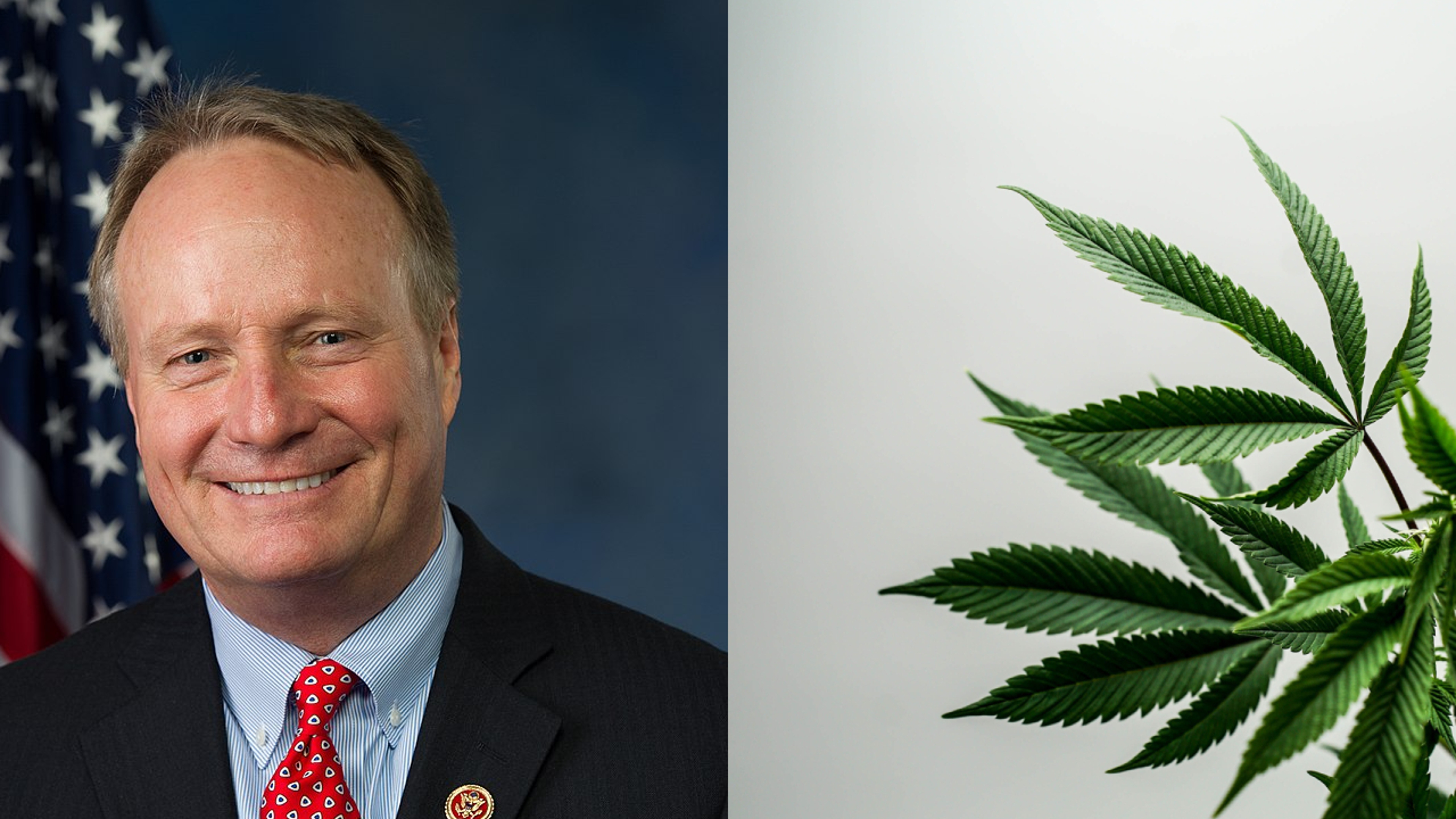 EXCLUSIVE: Why Rep. David Joyce Says &#39;Education Is The Key&#39; To Cannabis Reform