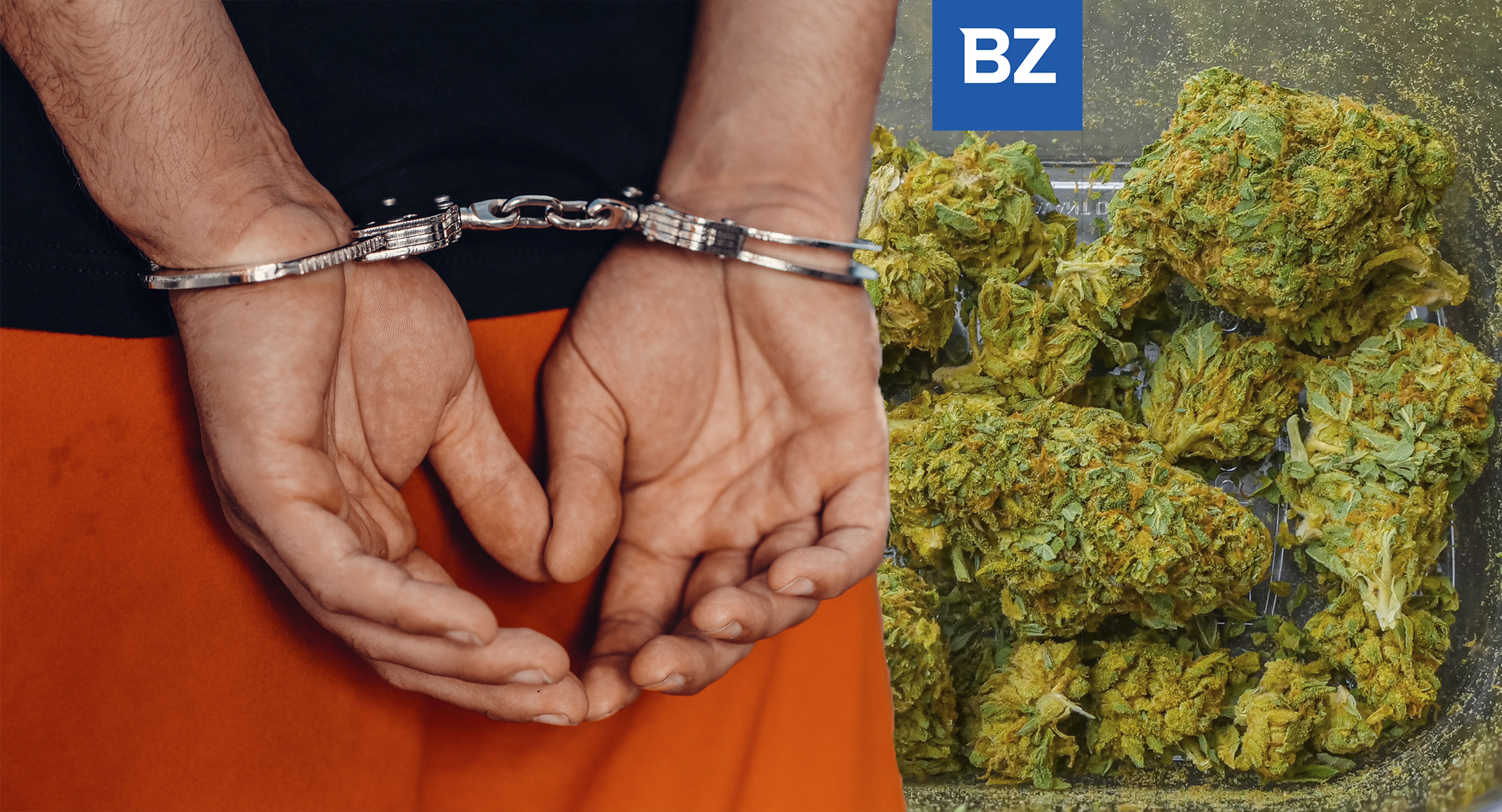 Spanish Police Arrest Drug Traffickers Smuggling Cannabis As &#39;Ukraine Aid&#39;