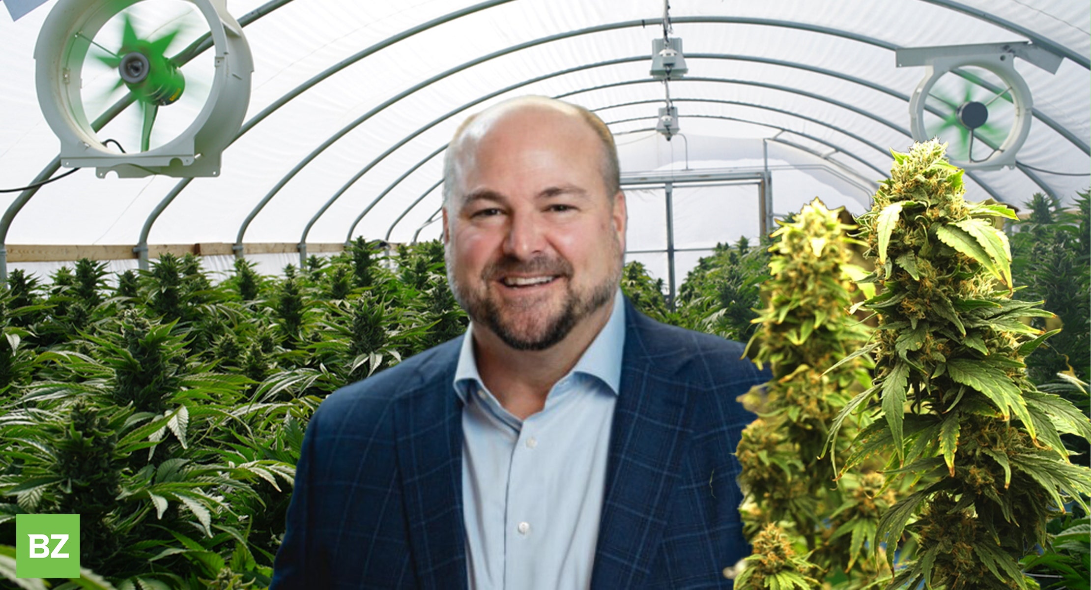 Un CEO Fintech spiega come ha avuto successo nella cannabis