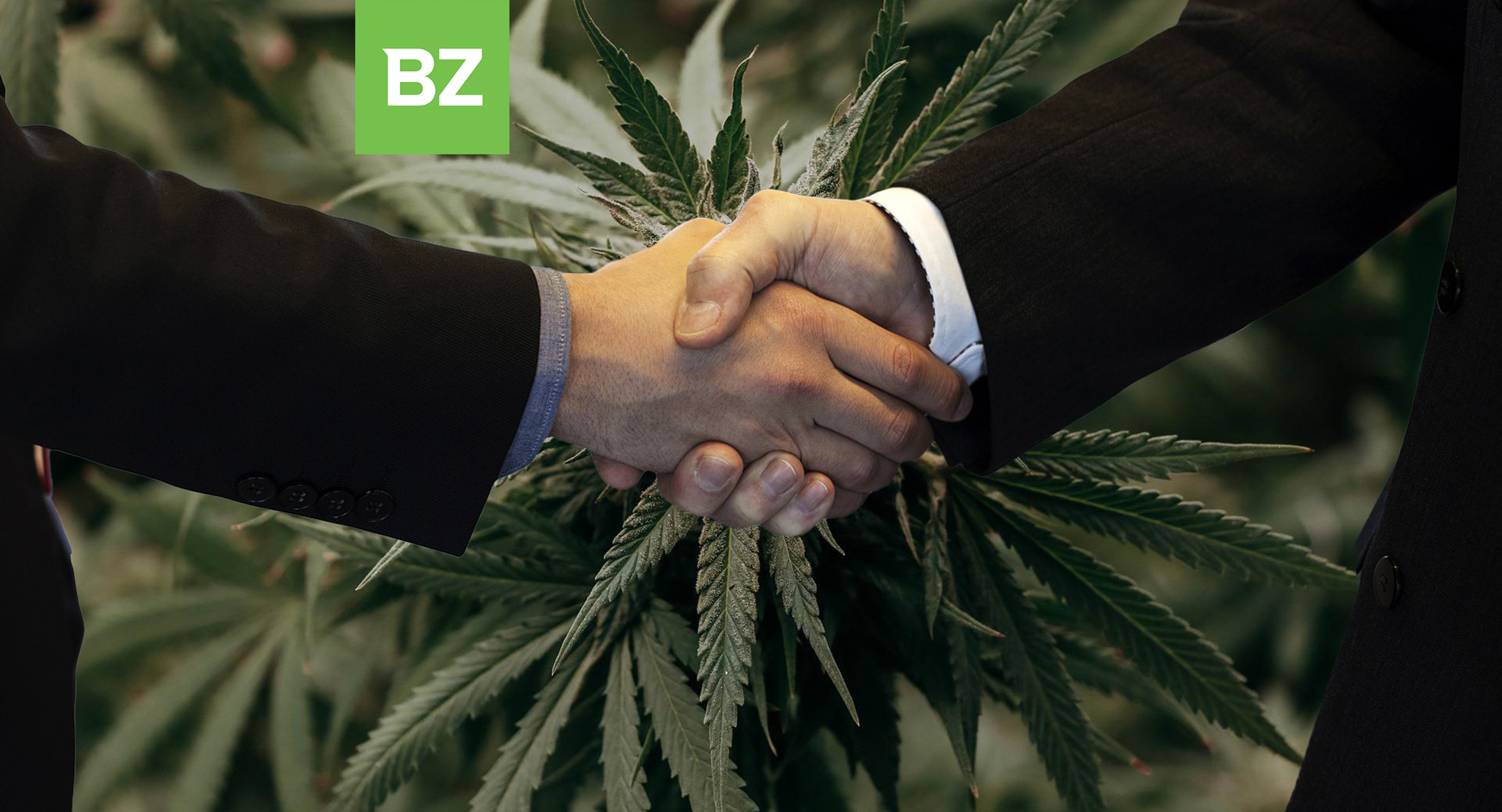 Key Marijuana Executive Changes You Should Know About, New Appointments &amp; More
