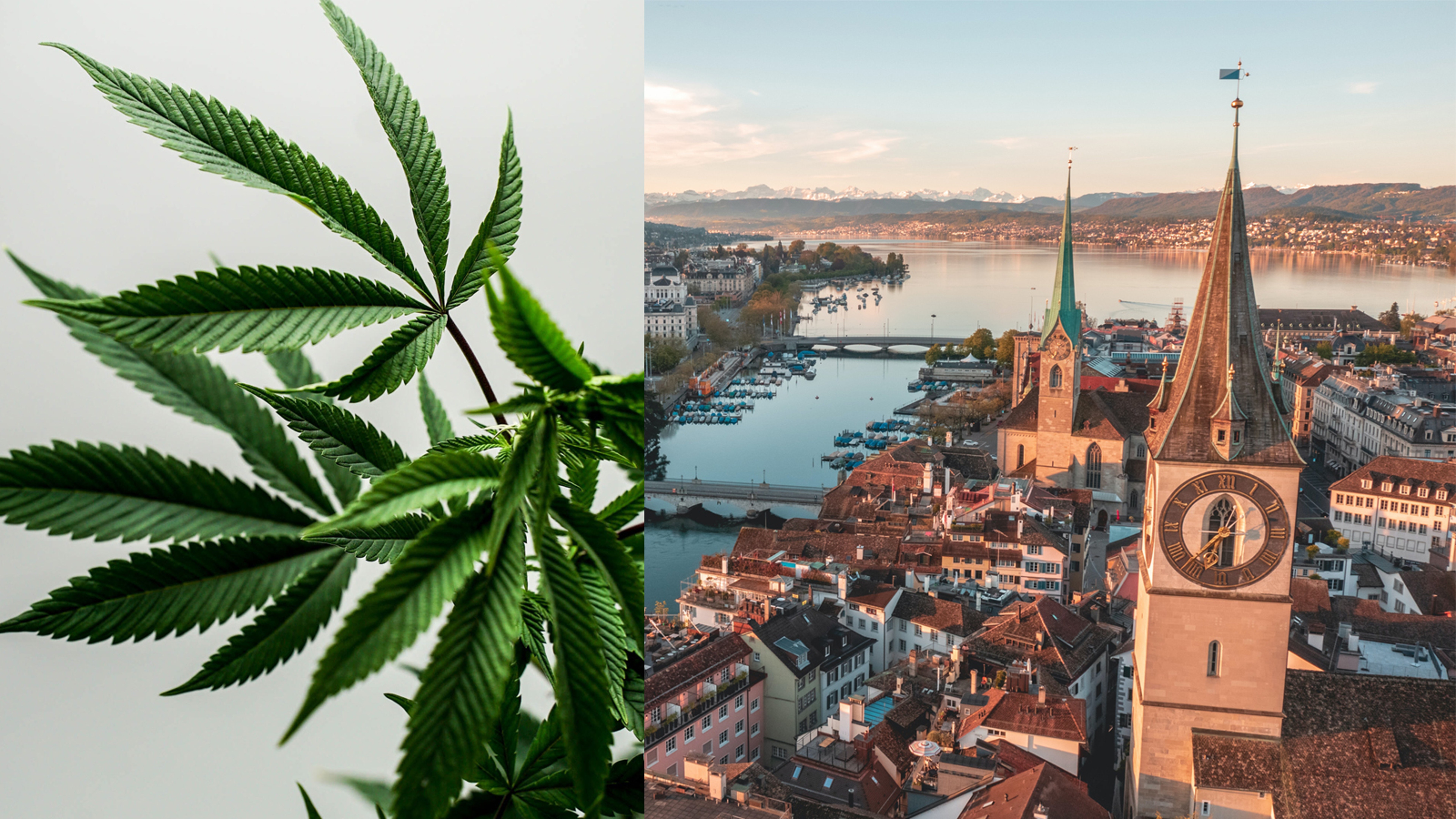 This European City Wants To Legalize Marijuana, New Trial Launches This Summer