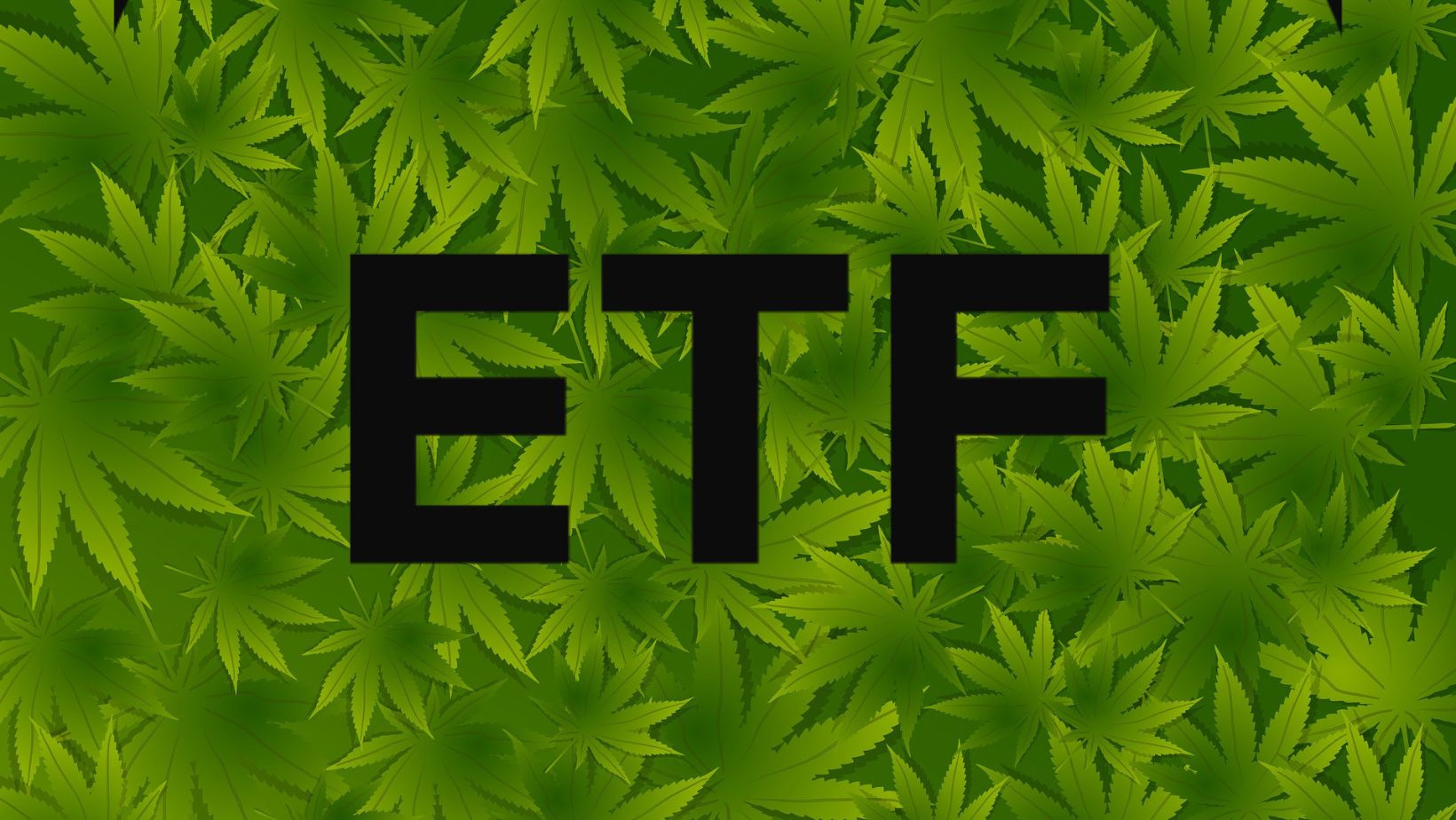 Options Traders Expect Cannabis ETF Will Reach This Level By January Expiration