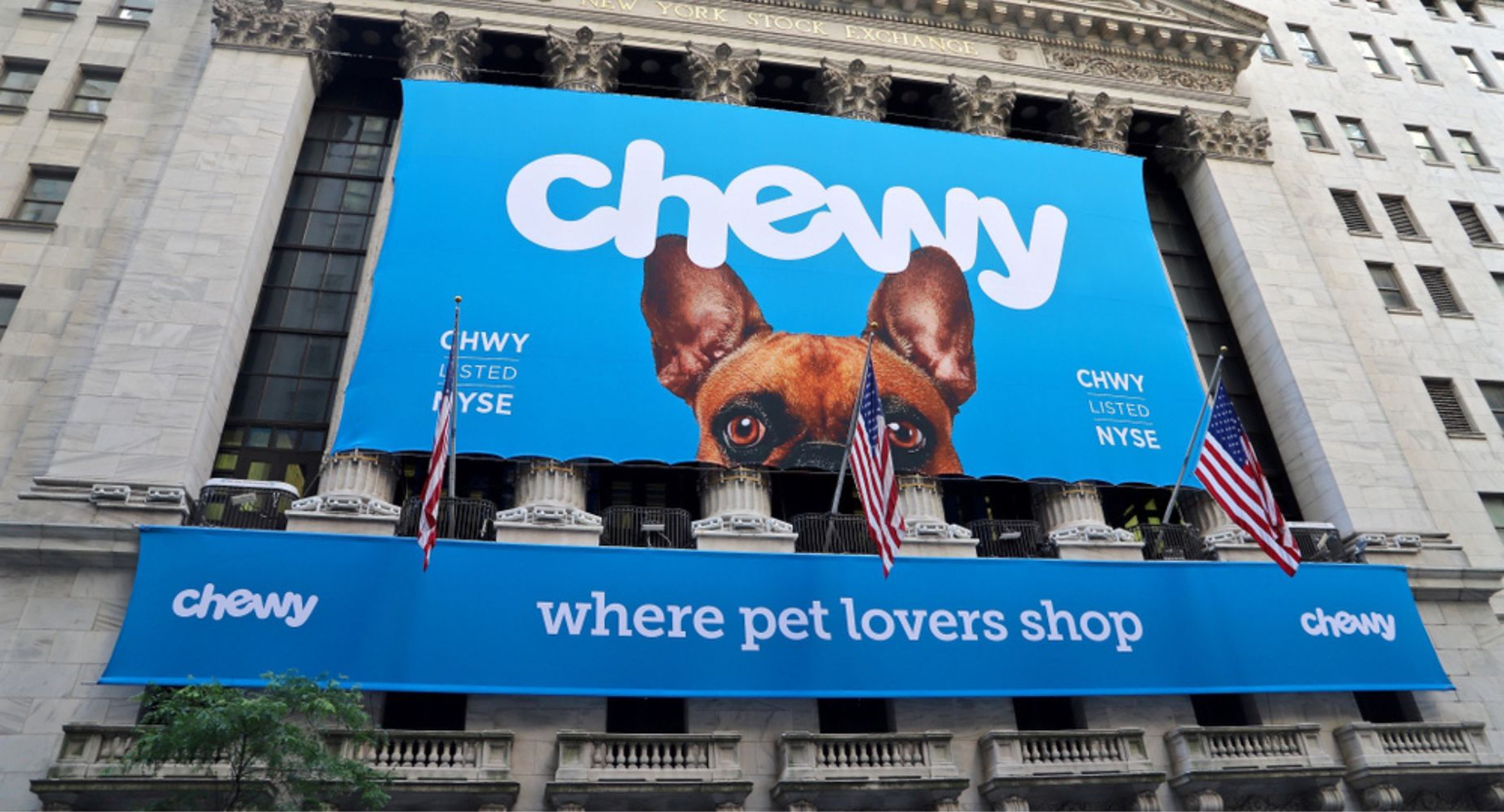 Chewy Shares Fall Sharply On Q2 Results, But Options Traders See Rebound Coming