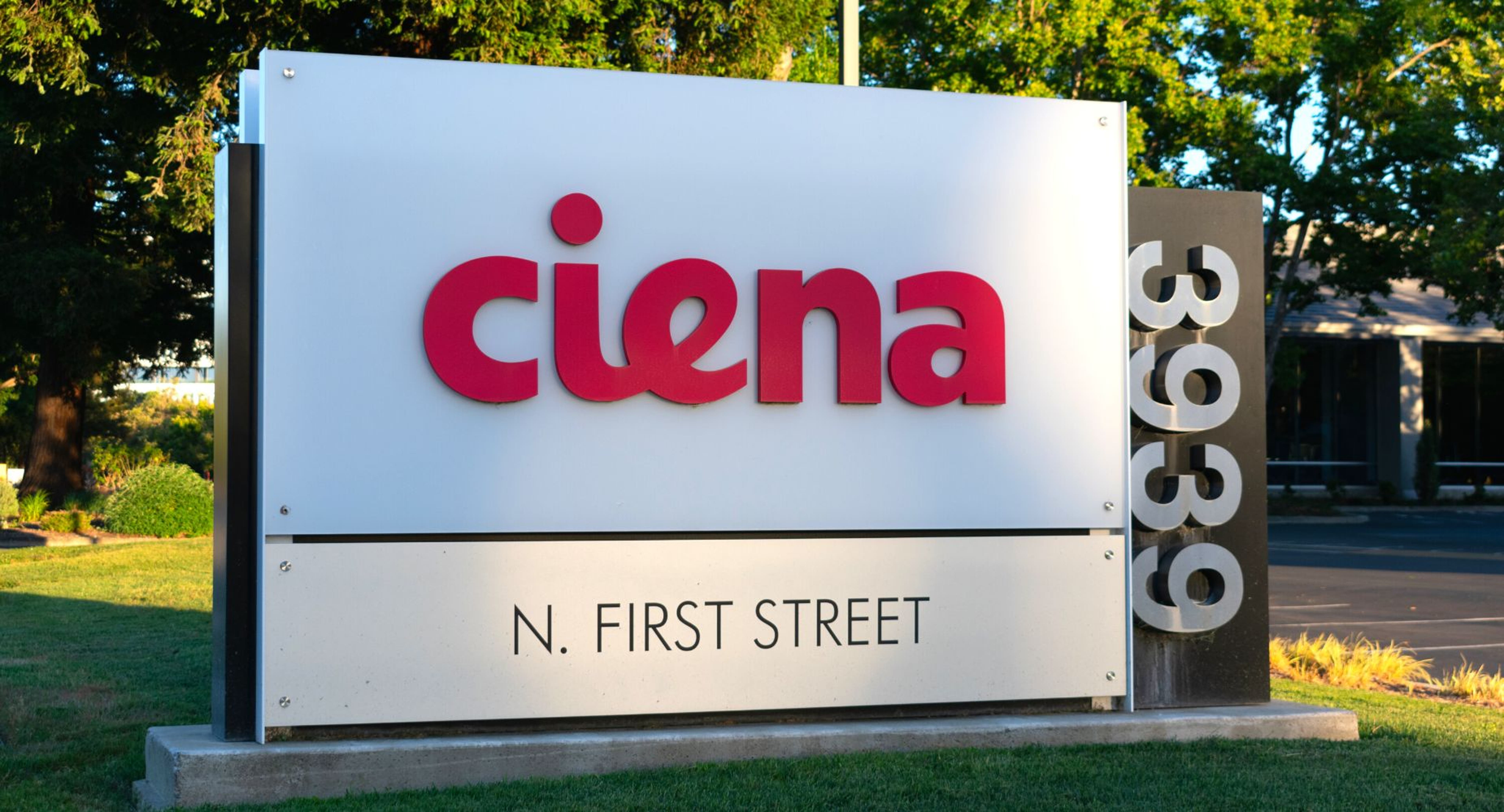 Ciena Analyst Predicts Gains From Strong Bandwidth Growth