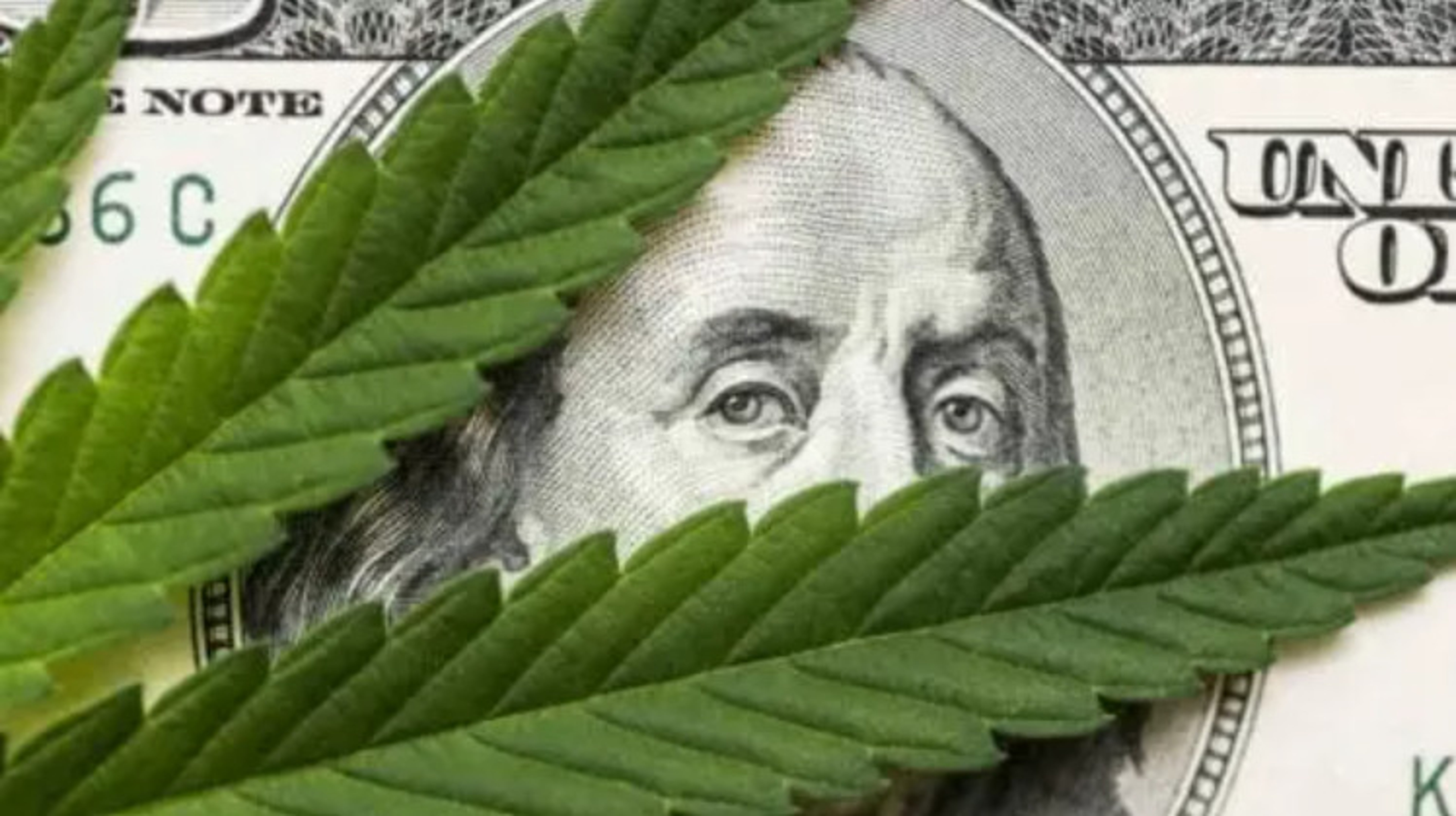 Senator Schumer Vows To Advance Cannabis Banking Bill With Criminal Justice Reforms