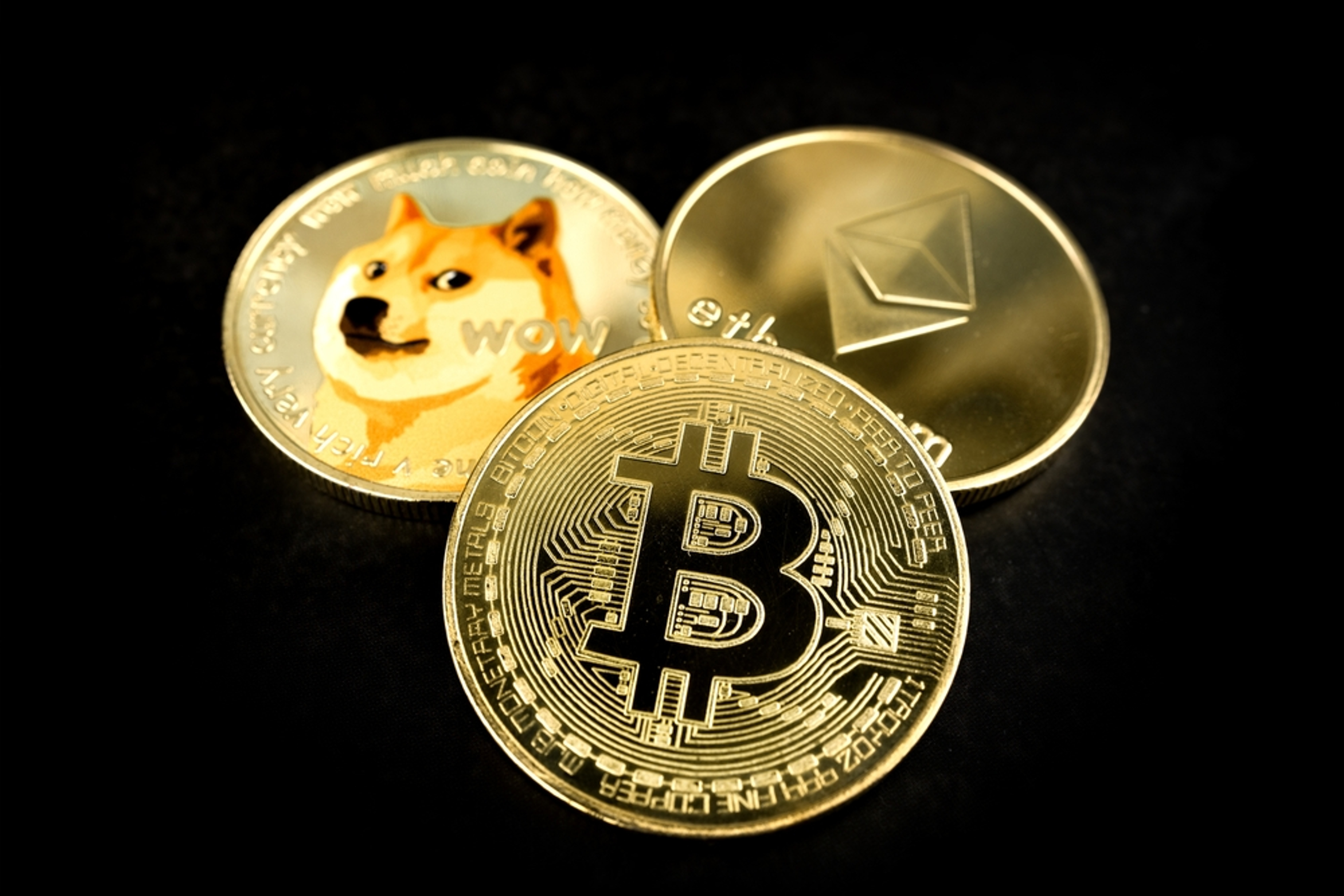 Grayscale&#39;s Ethereum ETF, Elon Musk&#39;s Dog-Inspired Coin, Anthony Scaramucci On Bitcoin And More: Top News From Crypto This Week