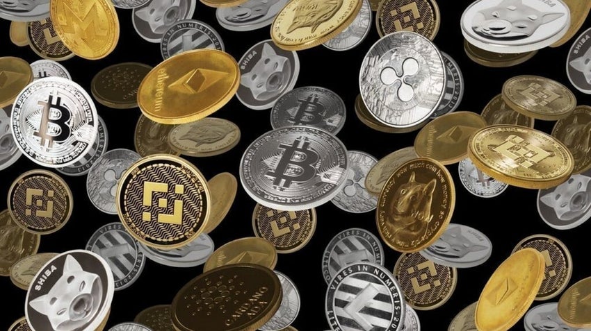 Dogs, Cats And Frogs — Crypto's Wildest Winners In 2024: The Unexpected Tokens Turning Pocket Change Into Fortunes