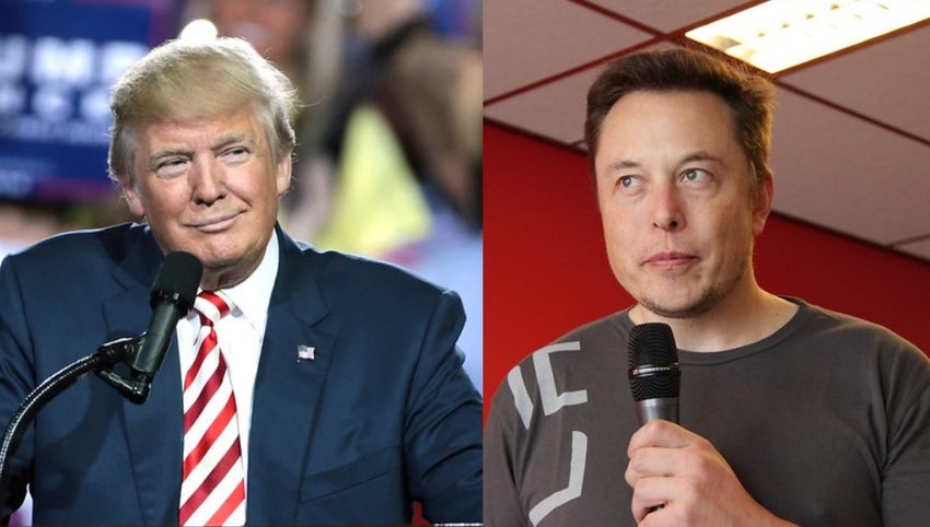 Donald Trump, Elon Musk