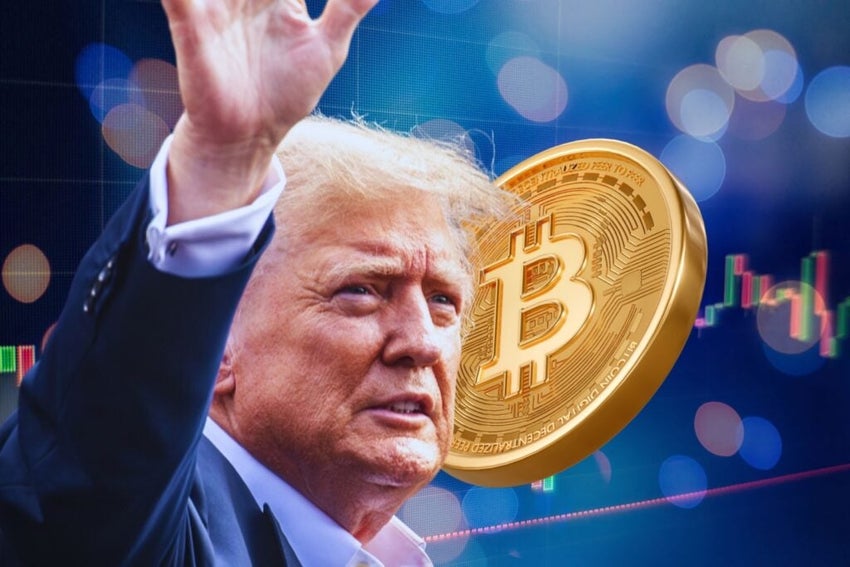 Trump crypto
