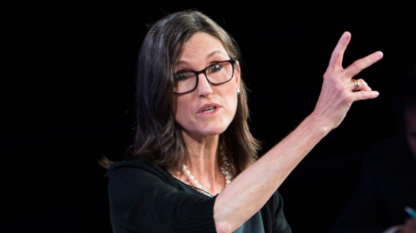 Cathie Wood's Buys The Dip In Tempus AI, Coinbase But Sells Ark's Bitcoin ETF Shares Amid Crypto Meltdown