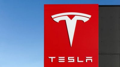 Ross Gerber Says Tesla Stock Still Overpriced Despite 50% Drop