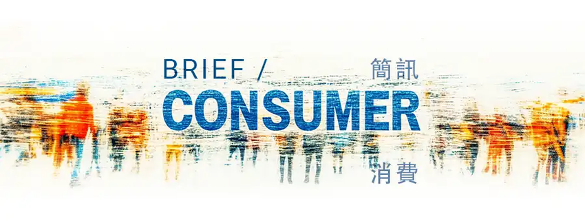 brief-consumer-v3.1-11
