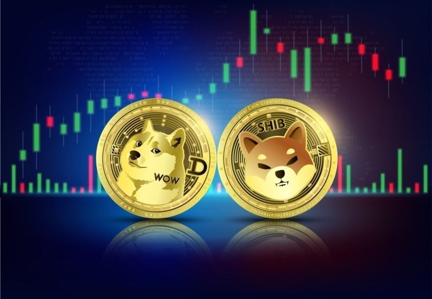 Dogecoin and Shiba Inu