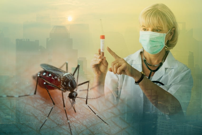 Chikungunya virus