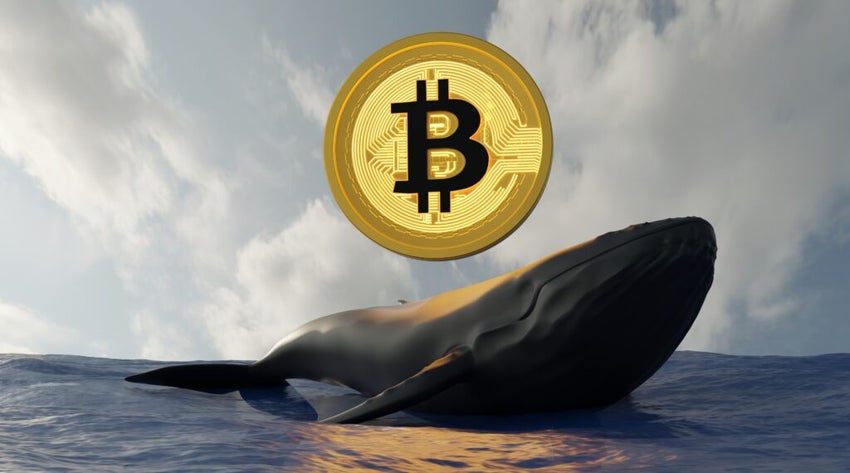 Bitcoin,Whale,,,Whale,In,Ocean,And,Bitcoin,.,Whale