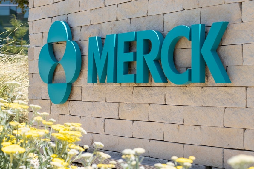merck