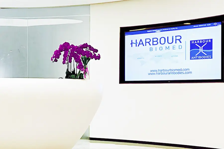 Harbour-900x600-1